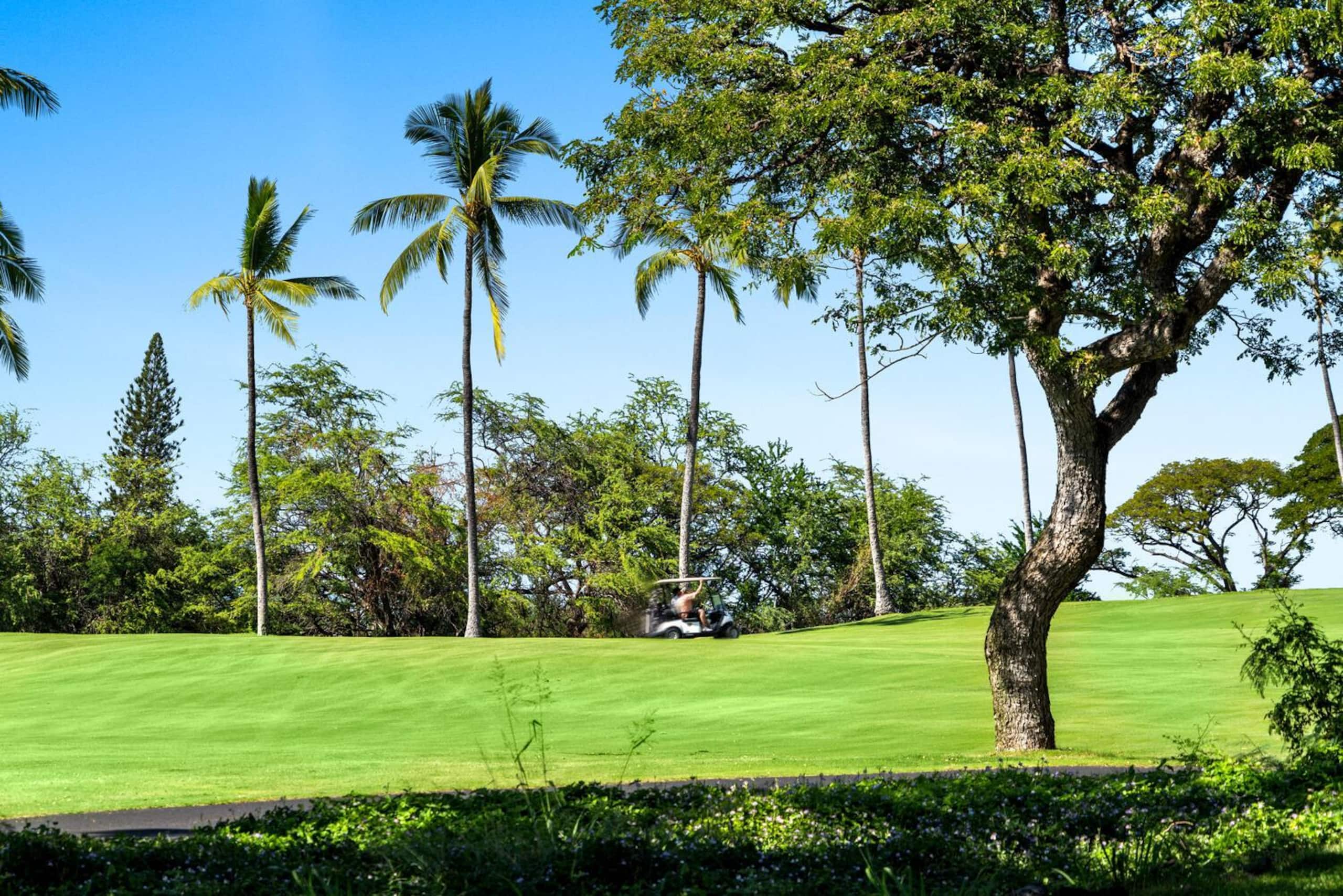 Condo in Kailua-Kona · ★4.76 · 1 bedroom · 2 beds · 2 private baths - Image 32