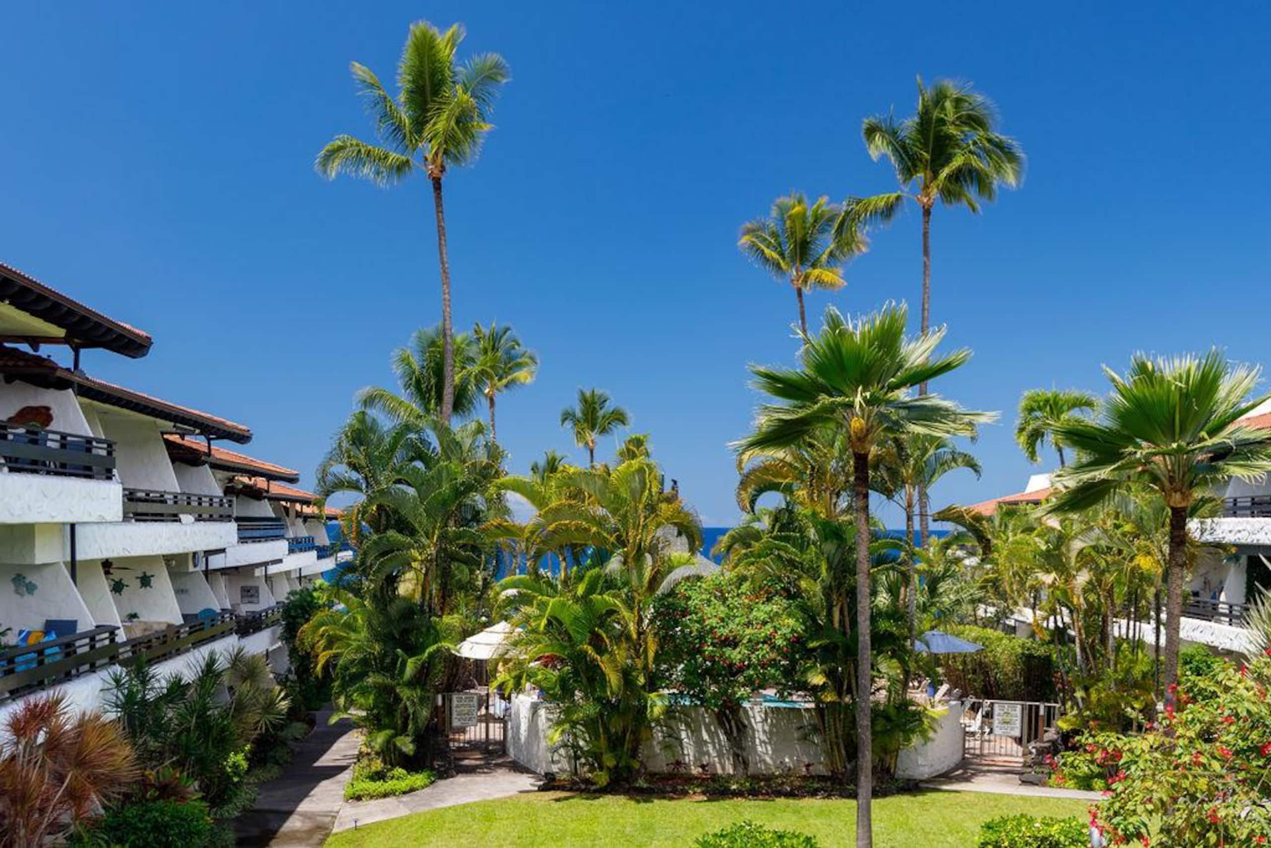 Condo in Kailua-Kona · ★4.94 · 2 bedrooms · 2 beds · 2 baths - Image 24