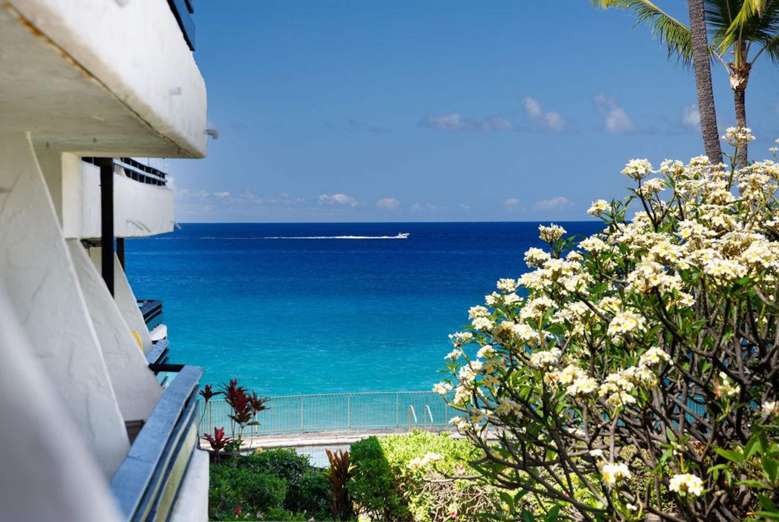 Condo in Kailua-Kona · ★4.94 · 2 bedrooms · 2 beds · 2 baths - Image 23