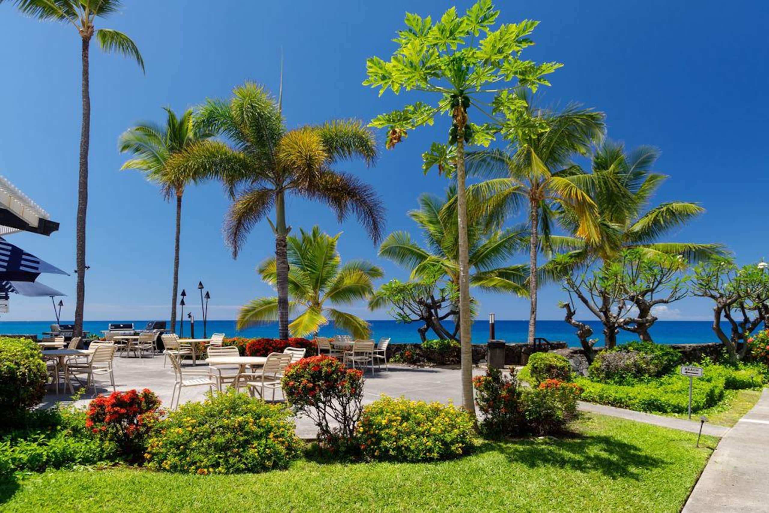 Condo in Kailua-Kona · ★4.94 · 2 bedrooms · 2 beds · 2 baths - Image 25