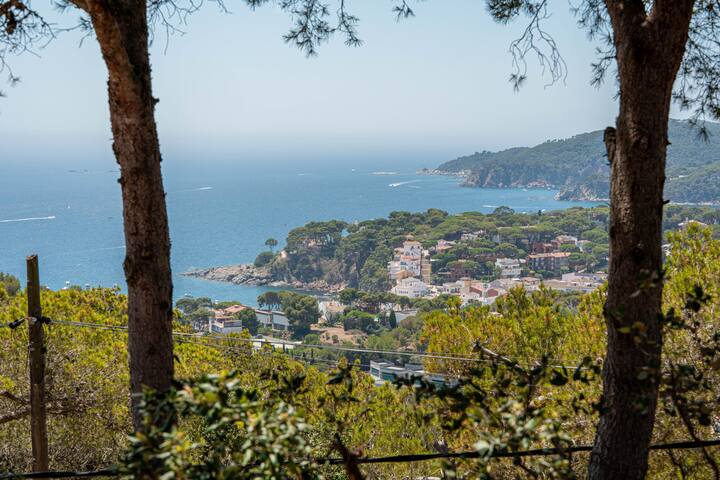 Eleanor´s House gallery image 2