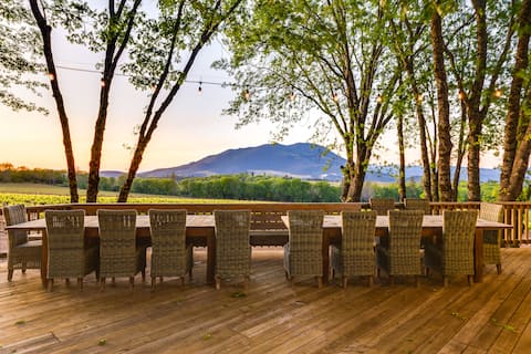 Kelseyville Home w/ Private Pool & Vineyard Views!