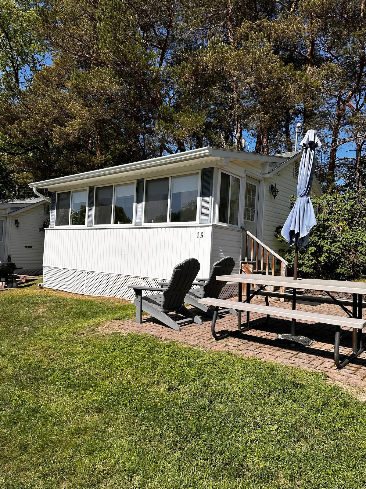 The cabin exterior features a spacious enclosed porch with large windows, providing natural light. A patio area includes a picnic table and two lounge chairs, set on a grassy lawn surrounded by trees. A patio umbrella offers shade for outdoor relaxation.