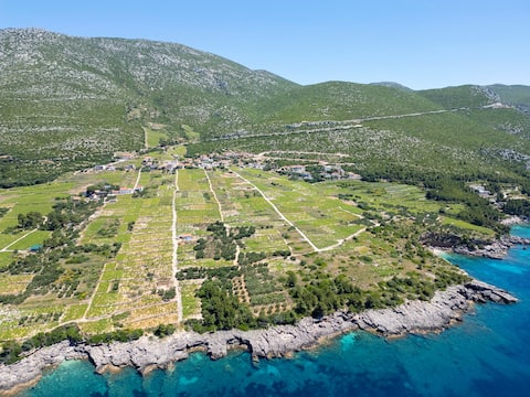 Luxury Villa Navis - Orebić, Pelješac peninsula
