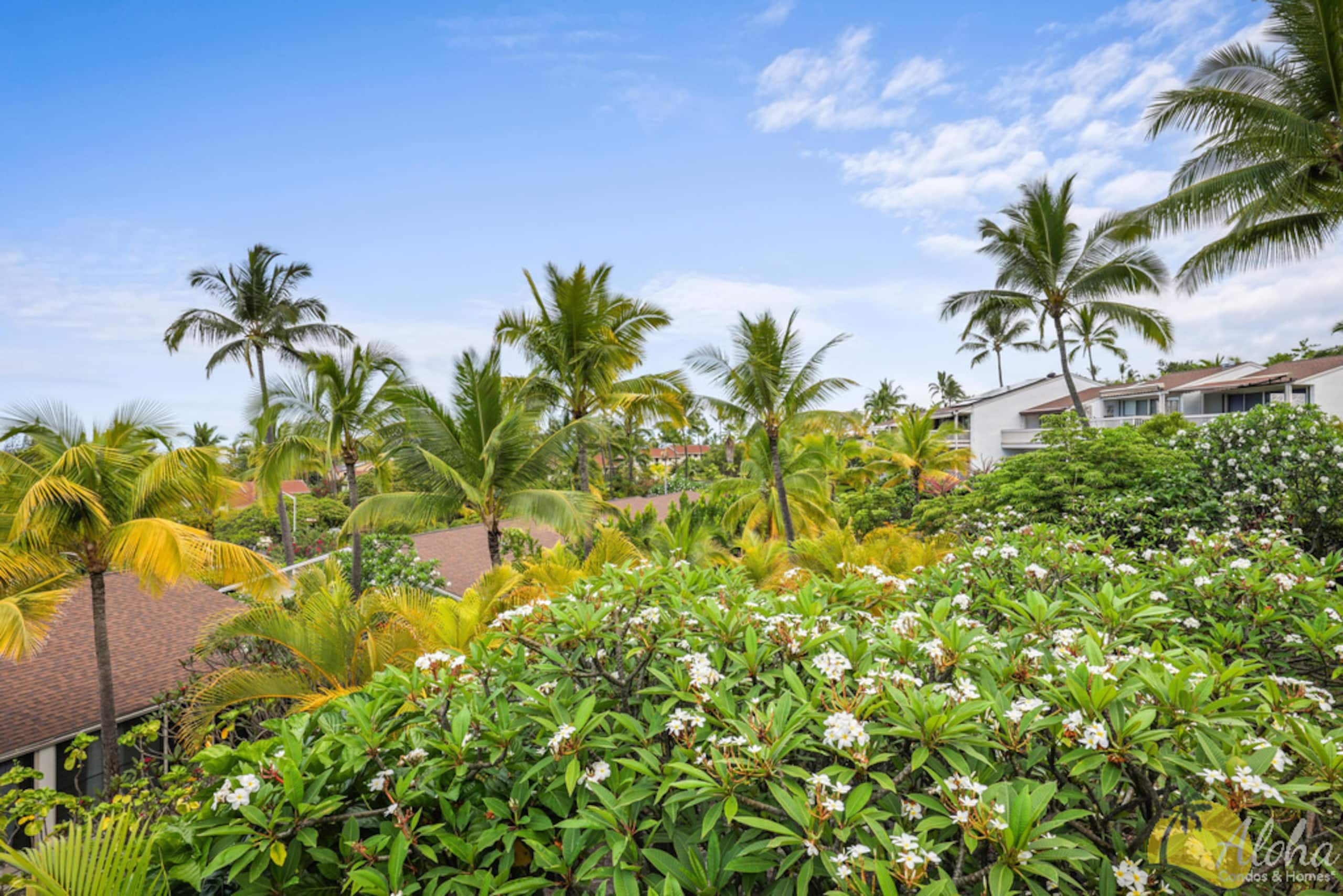 Keauhou Resort, Condo 111 - Aloha Condos - Photo 35