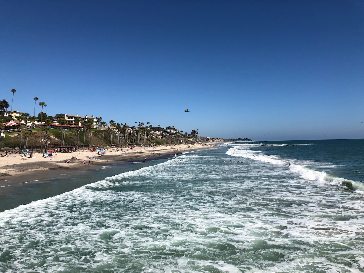 A coastal scene captures the sandy beach lined with palm trees and residential properties. Gentle waves lap against the shore, while people enjoy the water and sun under a clear blue sky. The image extends along the beachfront, inviting a sense of relaxation.