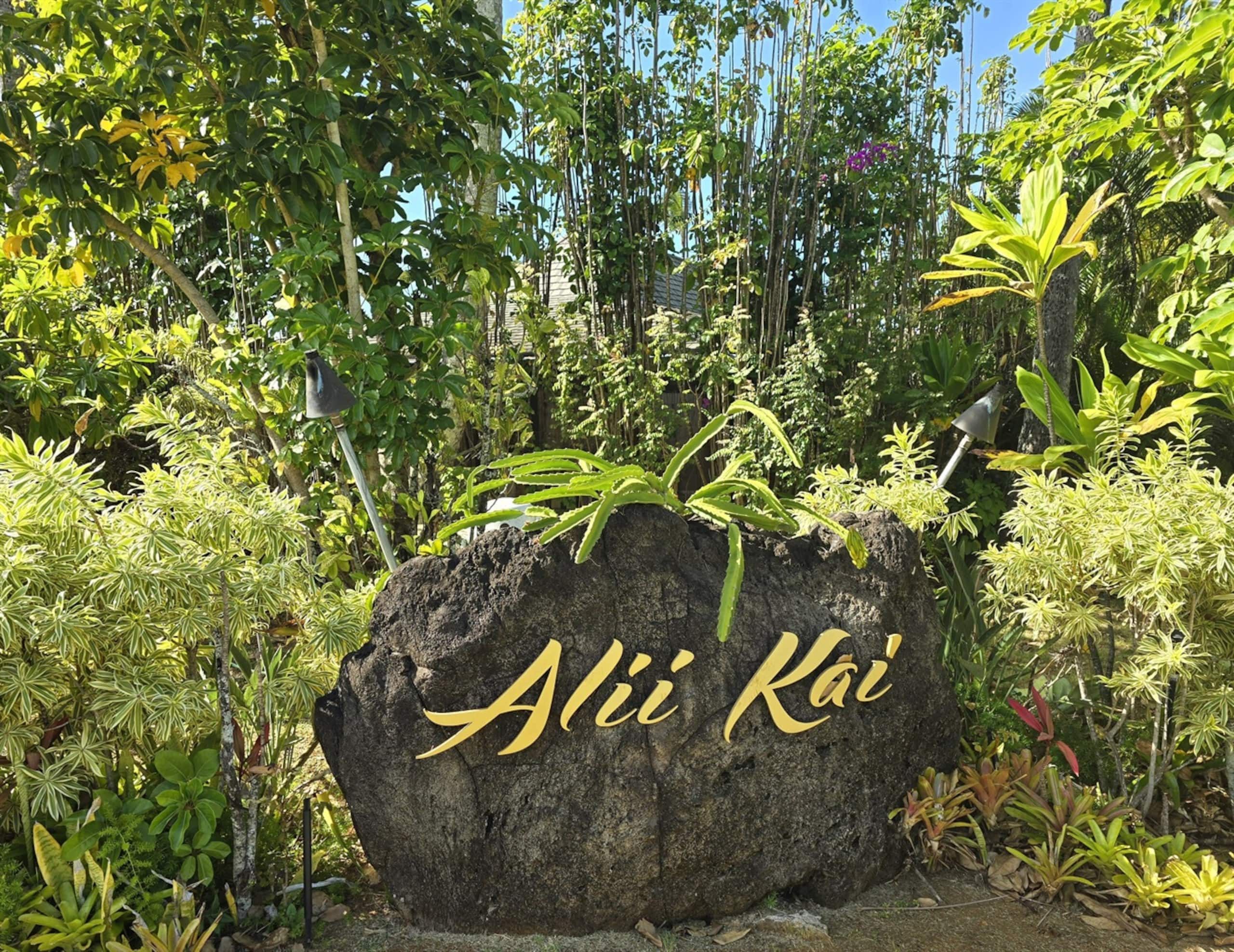 Whitewater Anini Reef Ocean Views W/ full Aircon - Photo 40