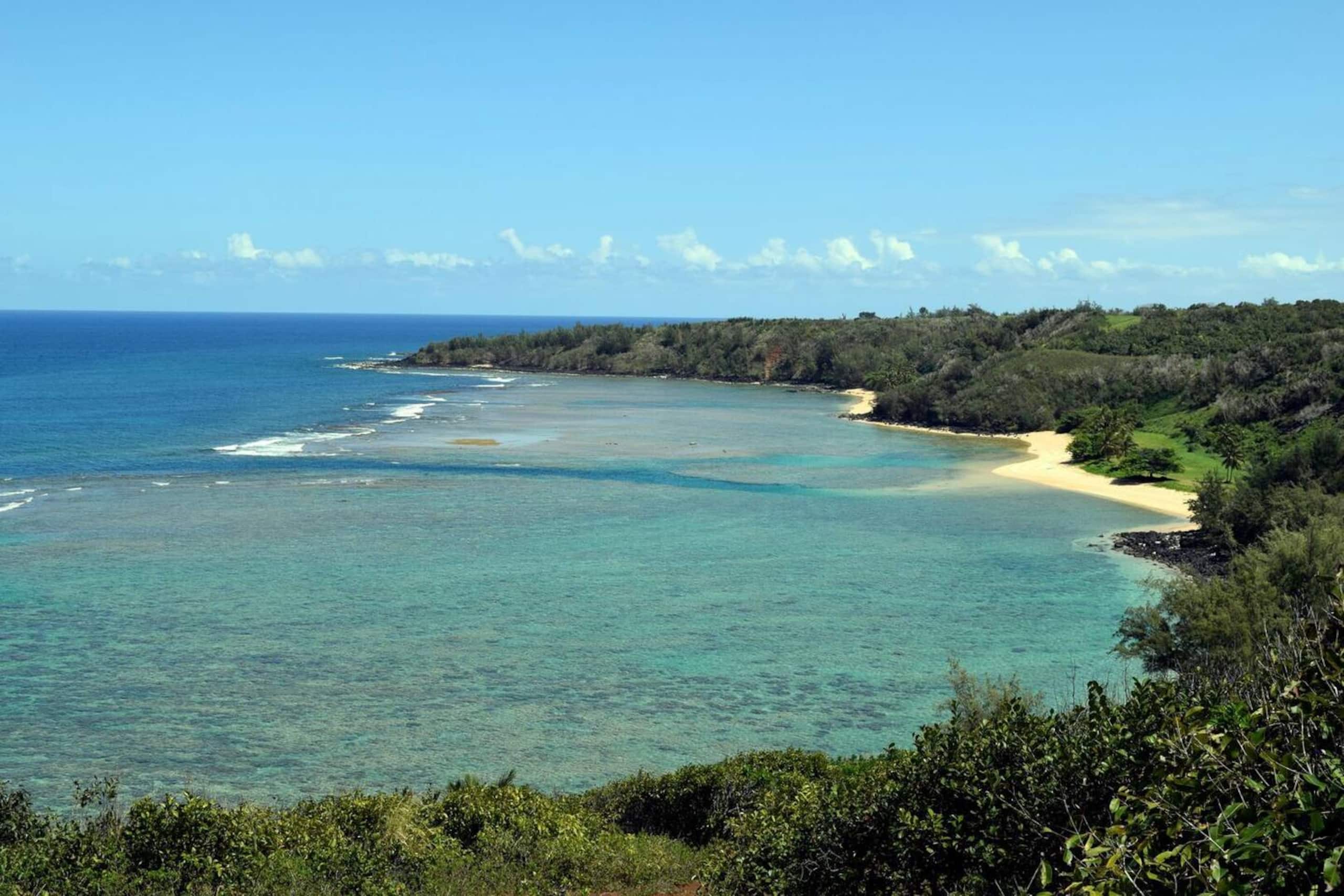 Whitewater Anini Reef Ocean Views W/ full Aircon - Photo 35