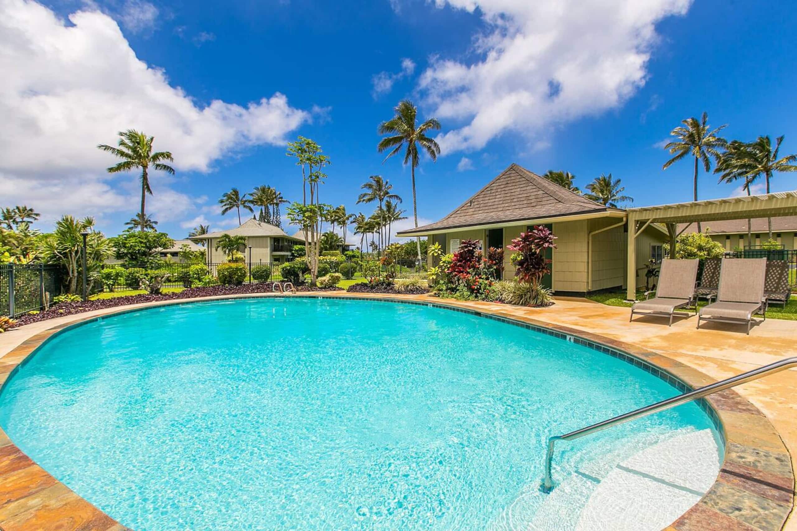 Whitewater Anini Reef Ocean Views W/ full Aircon - Photo 38
