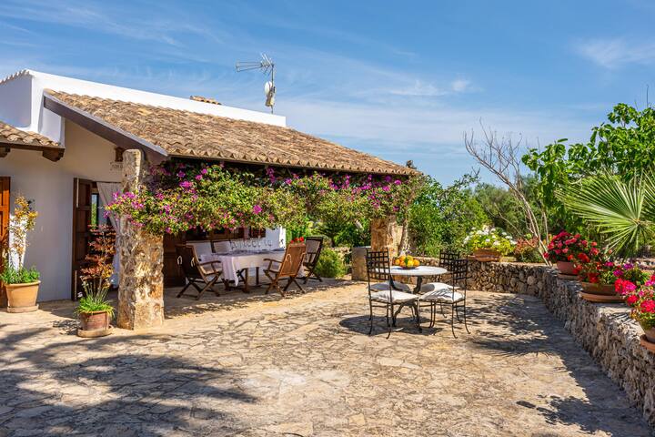 Son Mulet gallery image 4