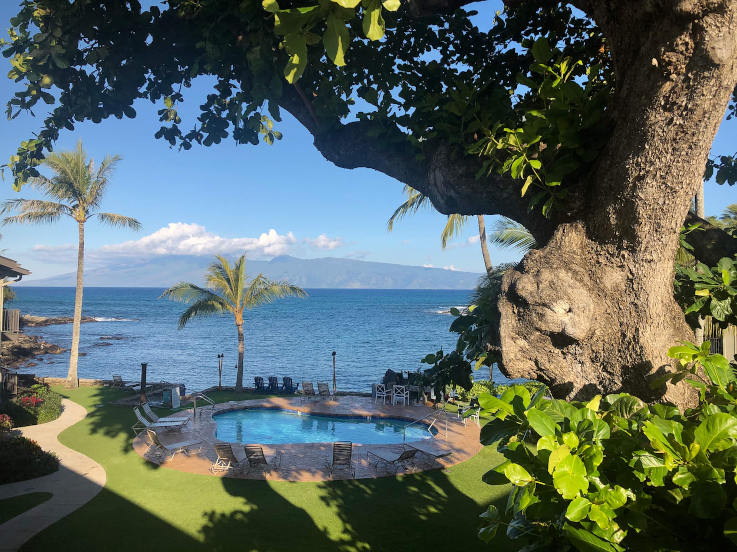 Condo in Lahaina · ★5.0 · 3 bedrooms · 4 beds · 2 baths - Image 39