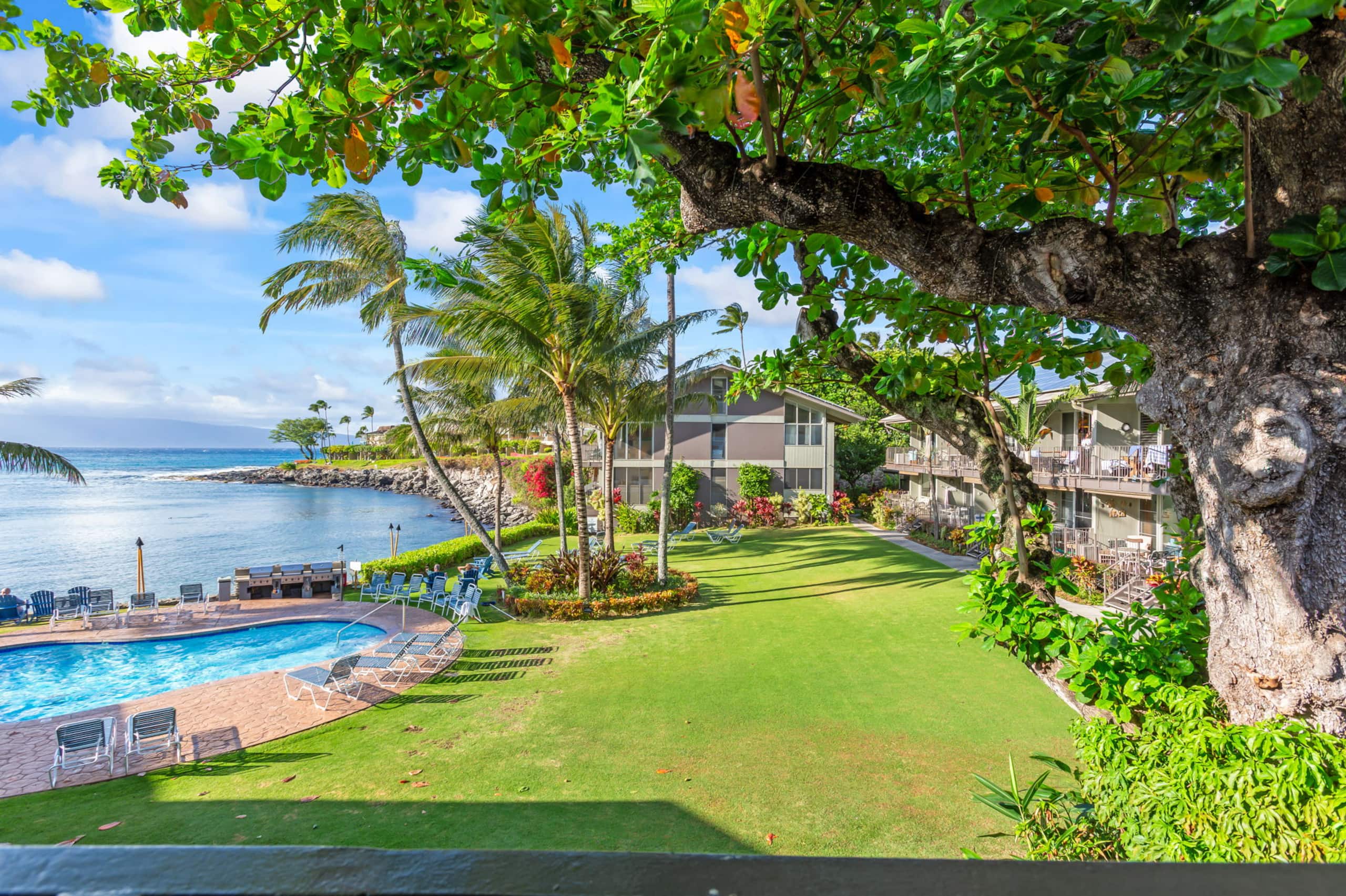 Condo in Lahaina · ★5.0 · 2 bedrooms · 2 beds · 2 baths - Image 43