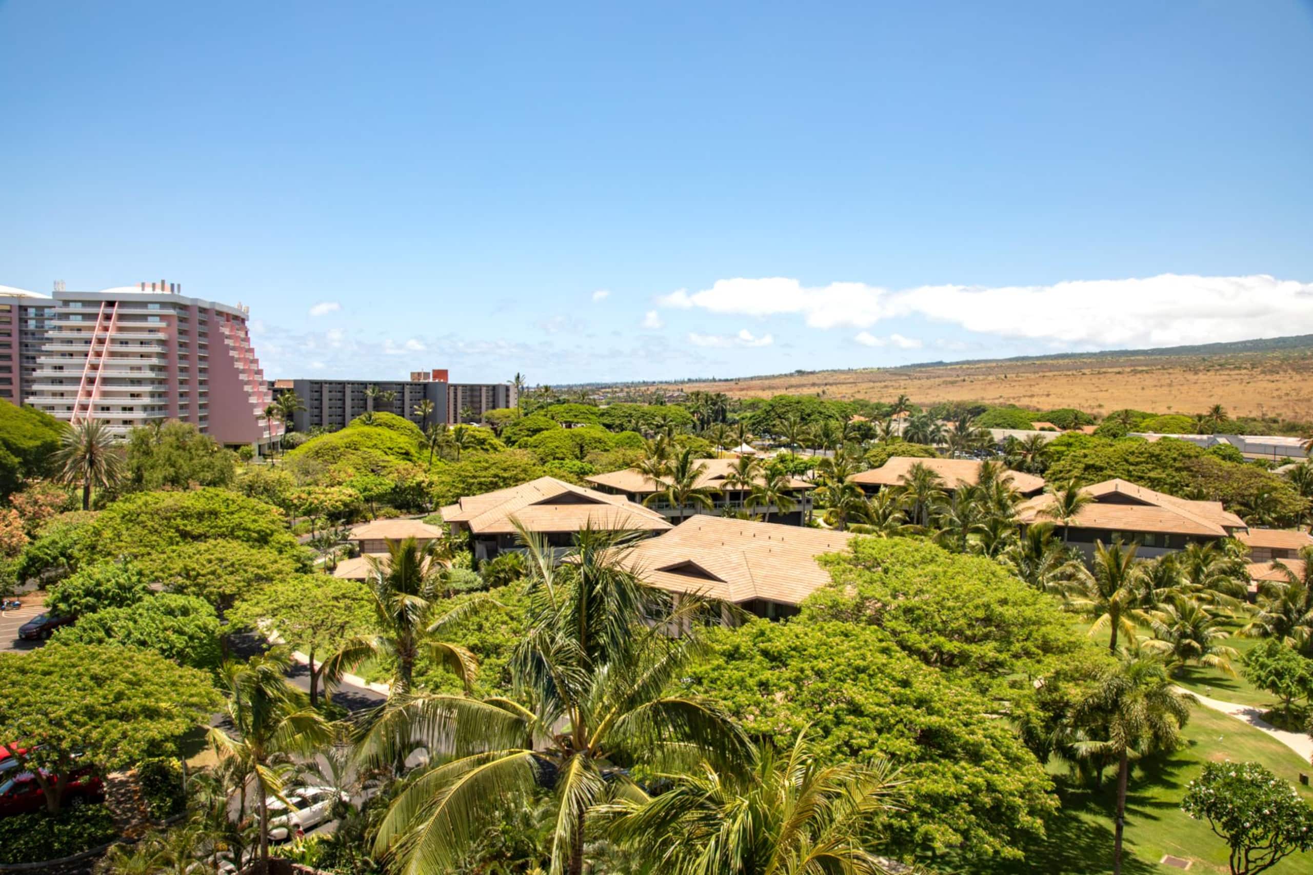 Condo in Lahaina · ★4.71 · 1 bedroom · 2 beds · 1 bath - Image 33