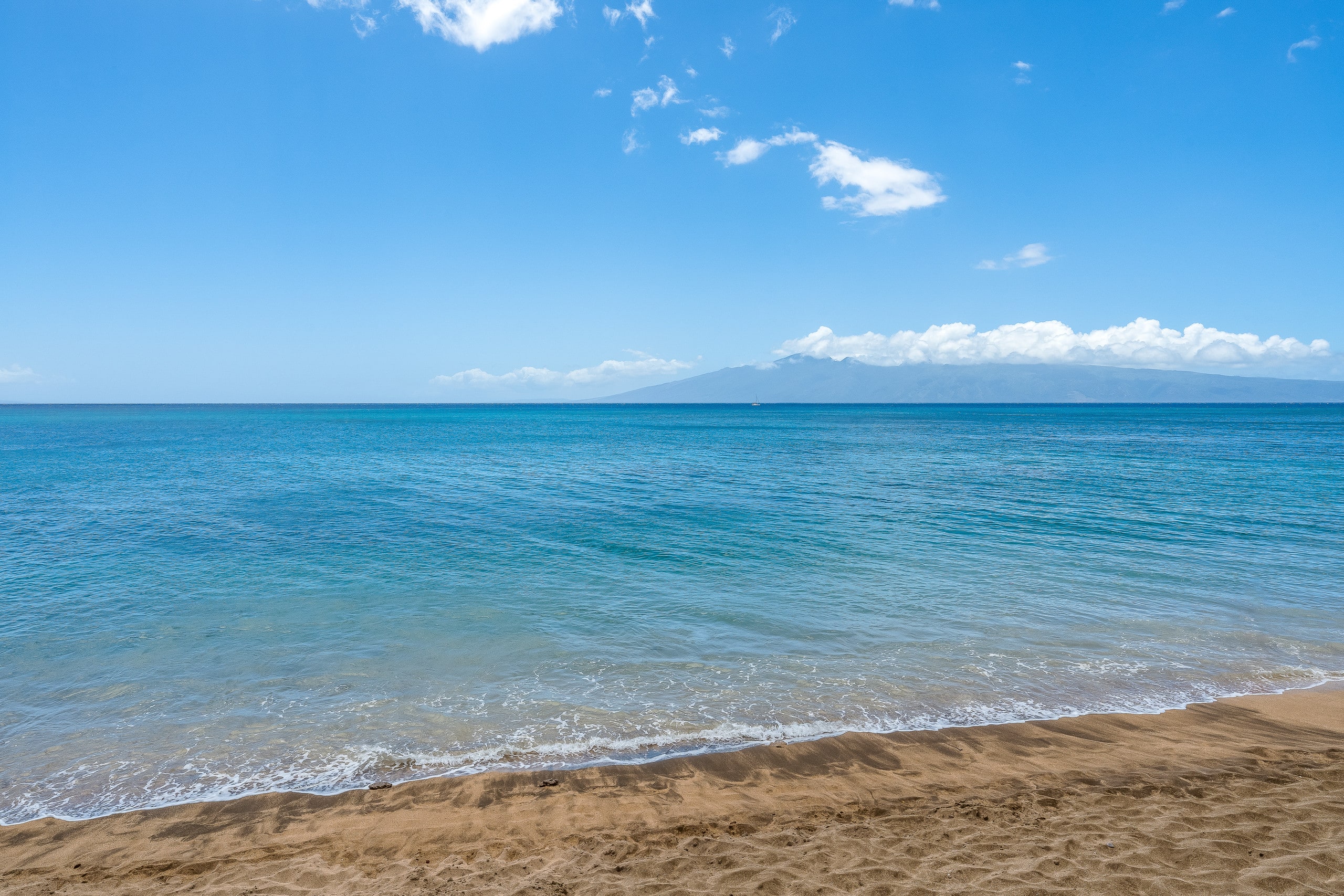 Condo in Lahaina · ★4.81 · 1 bedroom · 2 beds · 1 bath - Image 45