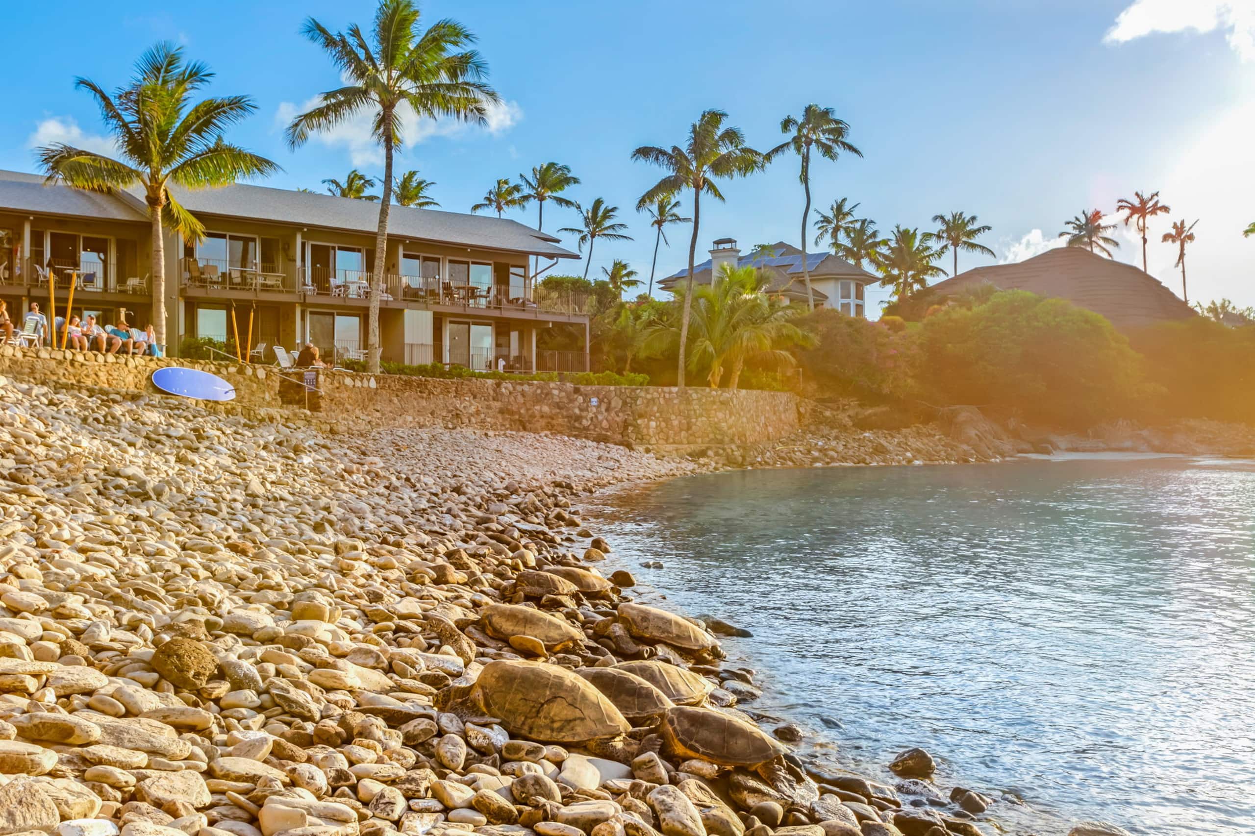 Condo in Lahaina · ★5.0 · 2 bedrooms · 3 beds · 2 baths - Image 48