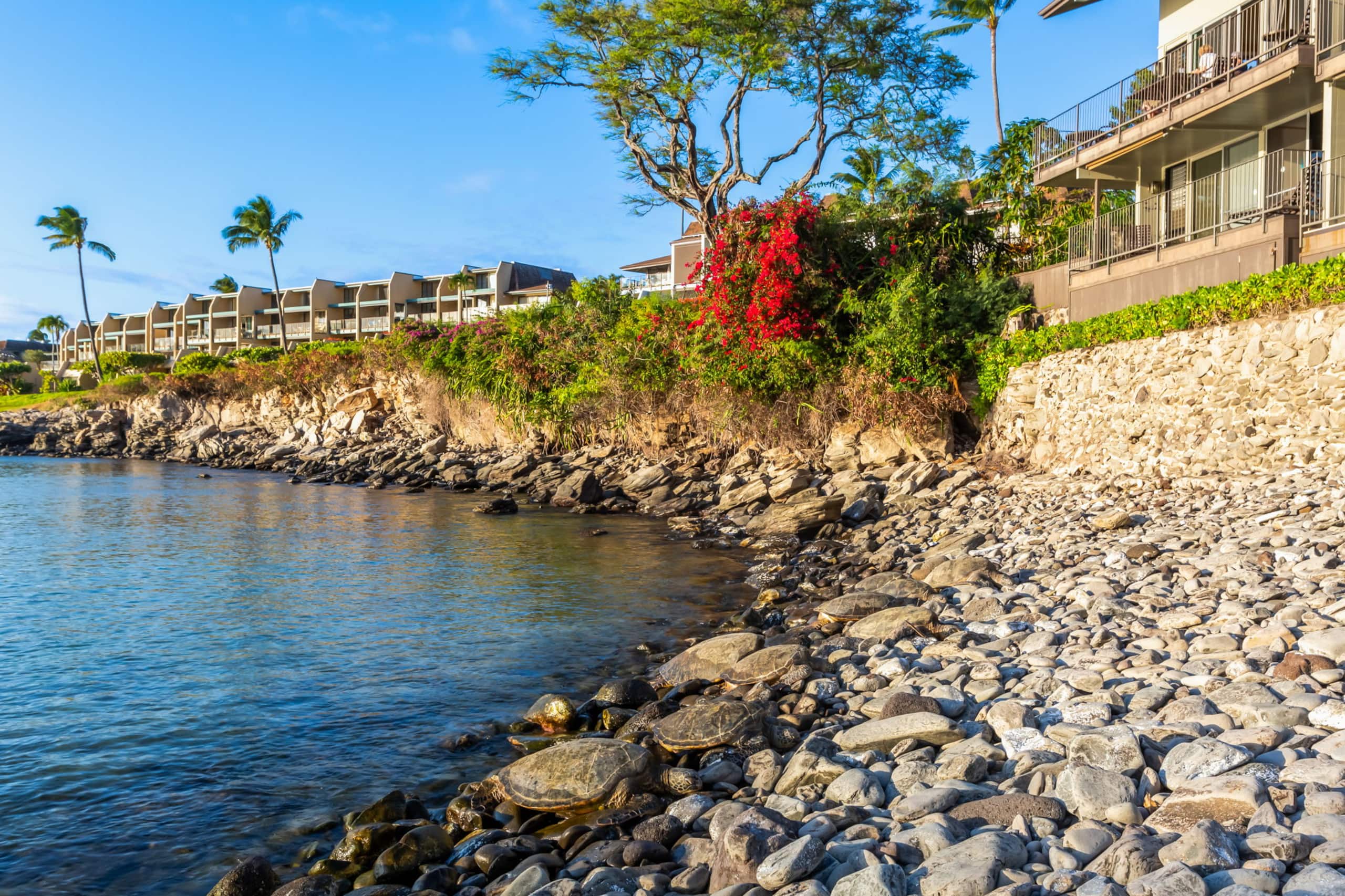 Condo in Lahaina · ★5.0 · 3 bedrooms · 4 beds · 2 baths - Image 32