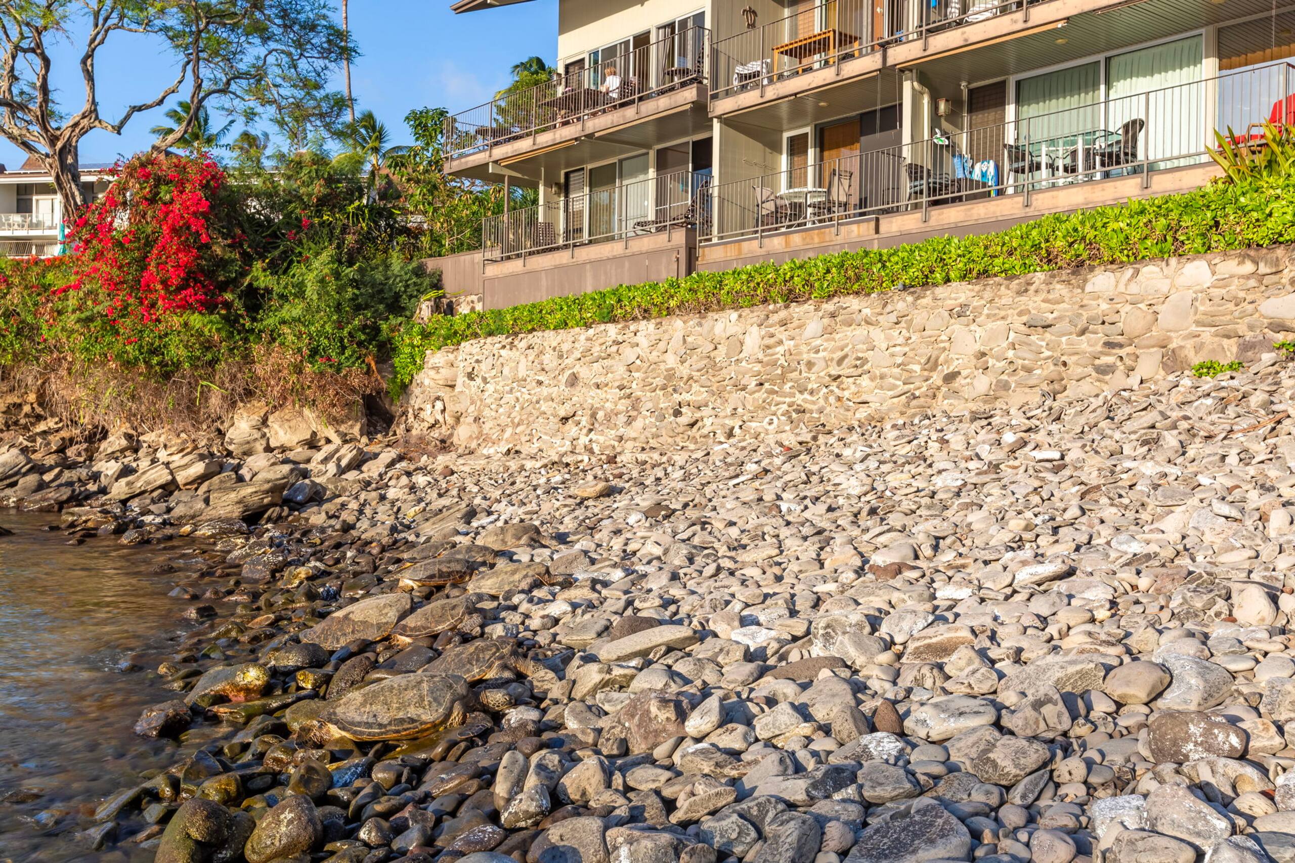 Condo in Lahaina · ★5.0 · 2 bedrooms · 3 beds · 2 baths - Image 33