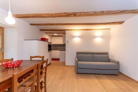 Top Airbnb: Focobon Apartment in Falcade