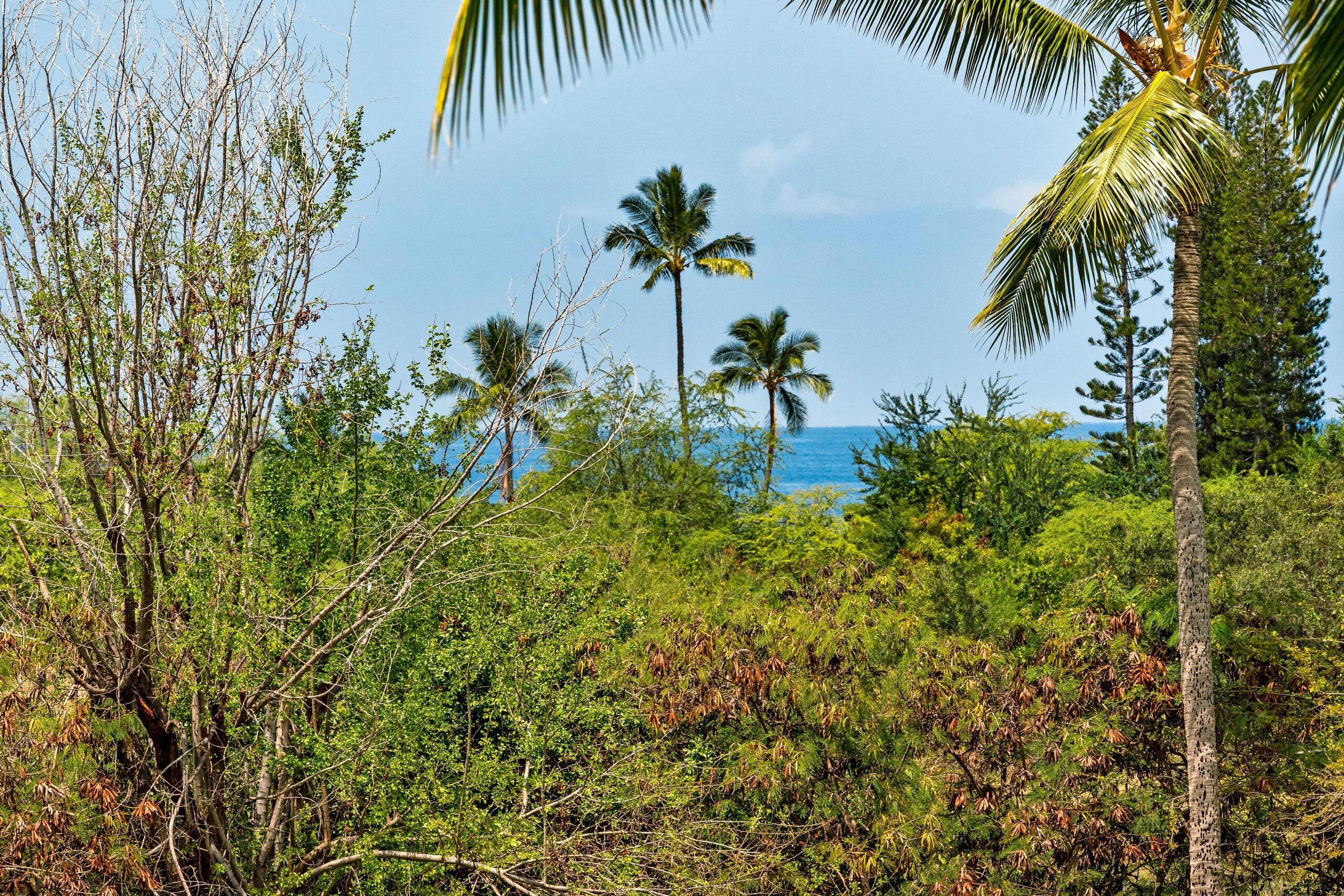 Condo in Kailua-Kona · ★5.0 · 2 bedrooms · 3 beds · 2 private baths - Image 45
