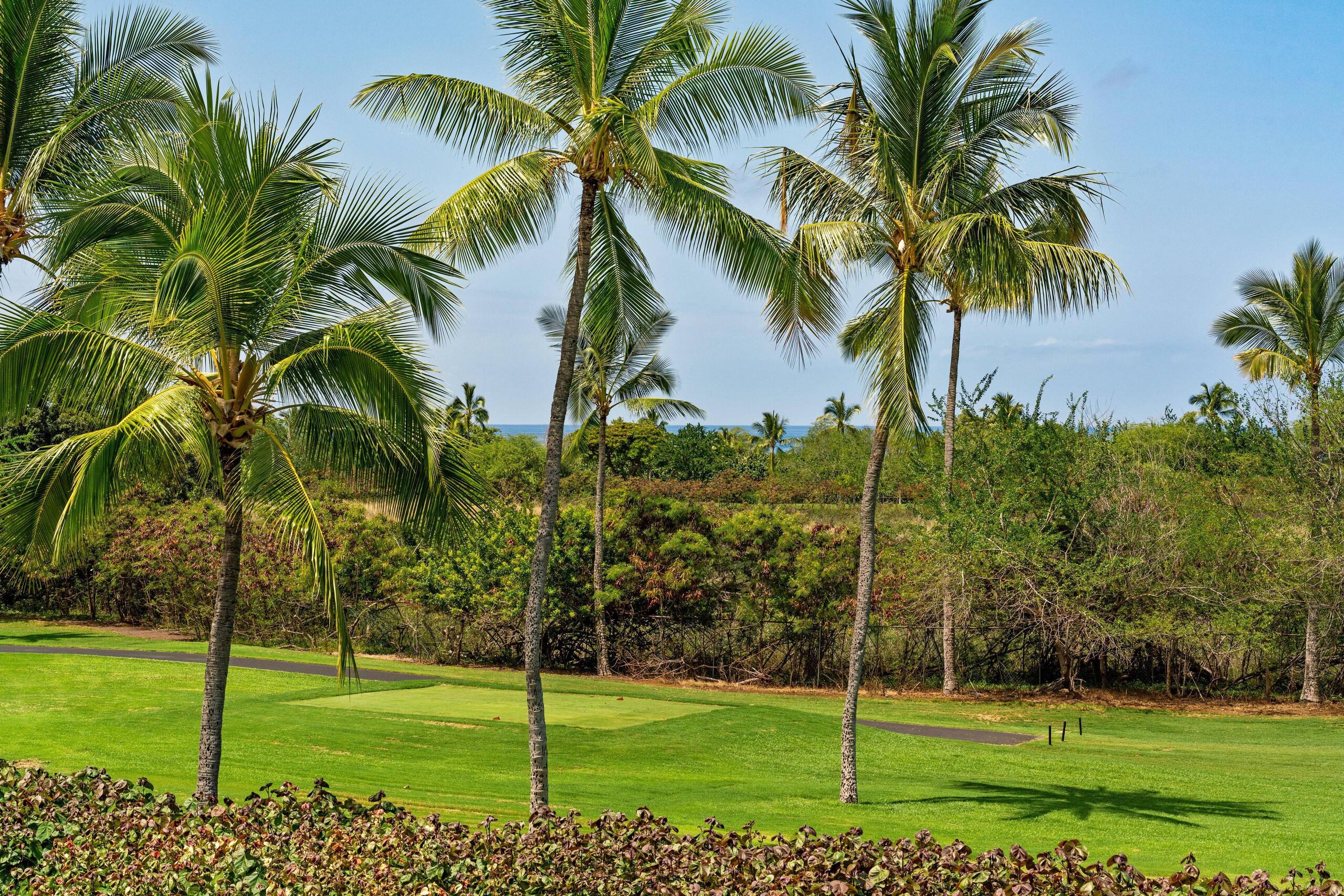 Condo in Kailua-Kona · ★5.0 · 2 bedrooms · 3 beds · 2 private baths - Image 43