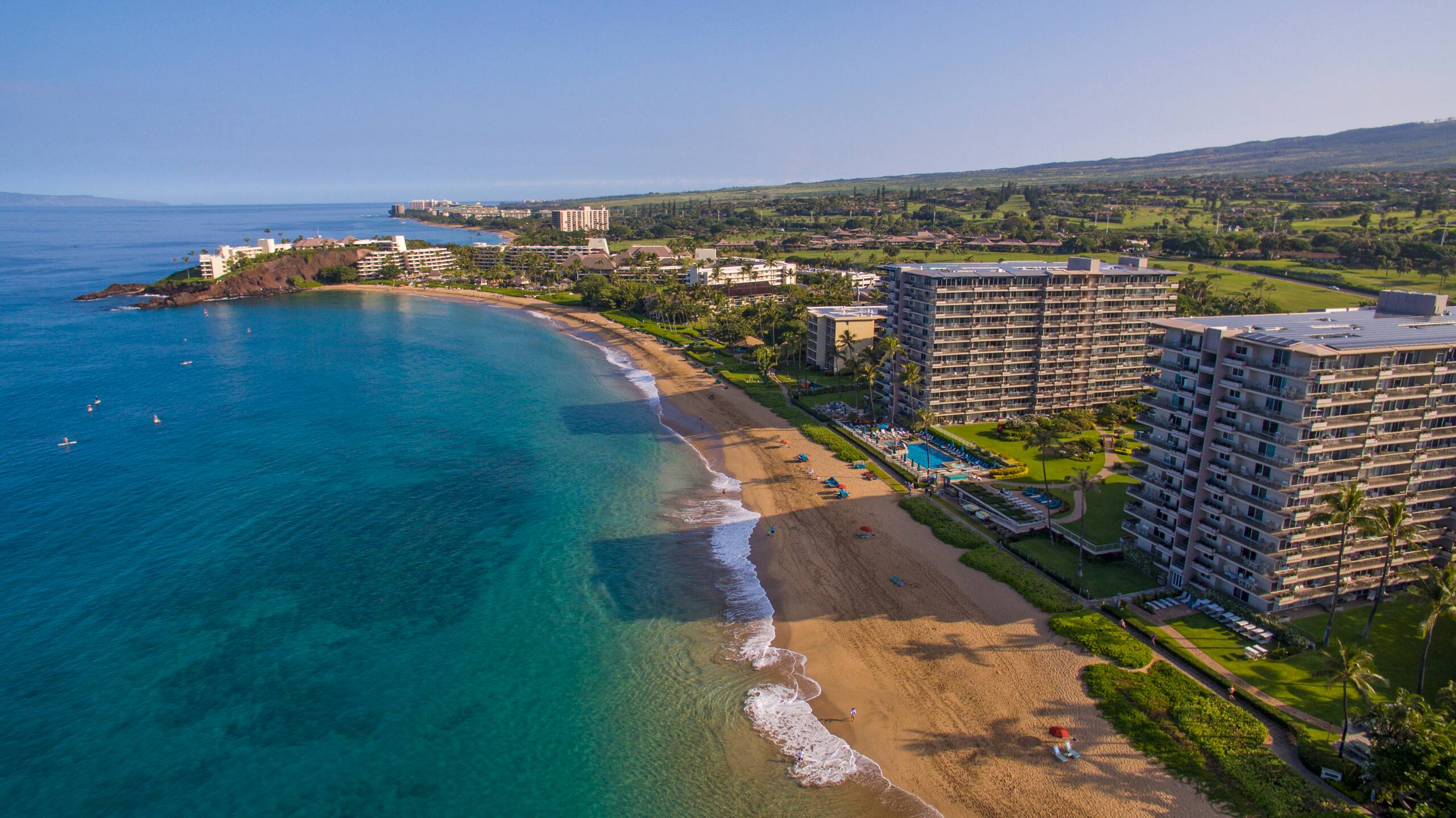 Condo in Lahaina · ★5.0 · Studio · 1 bed · 1 bath - Image 33