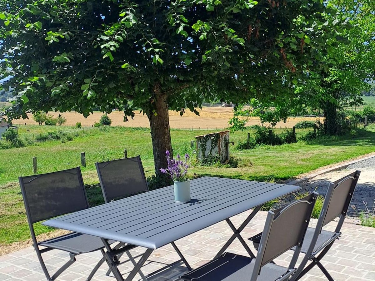 An outdoor dining area features a rectangular table surrounded by four chairs, set beneath a large leafy tree. A small potted plant sits on the table, while expansive green fields can be seen in the background, creating a serene countryside ambiance.