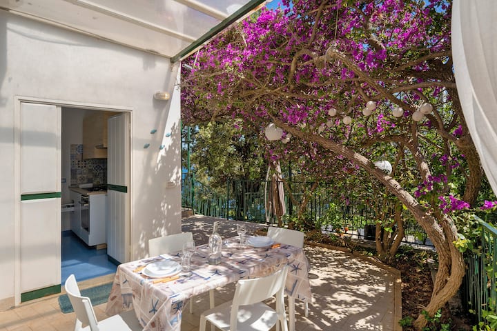 Bluegreen 2 Apartments Amalfi Coast - Maiori