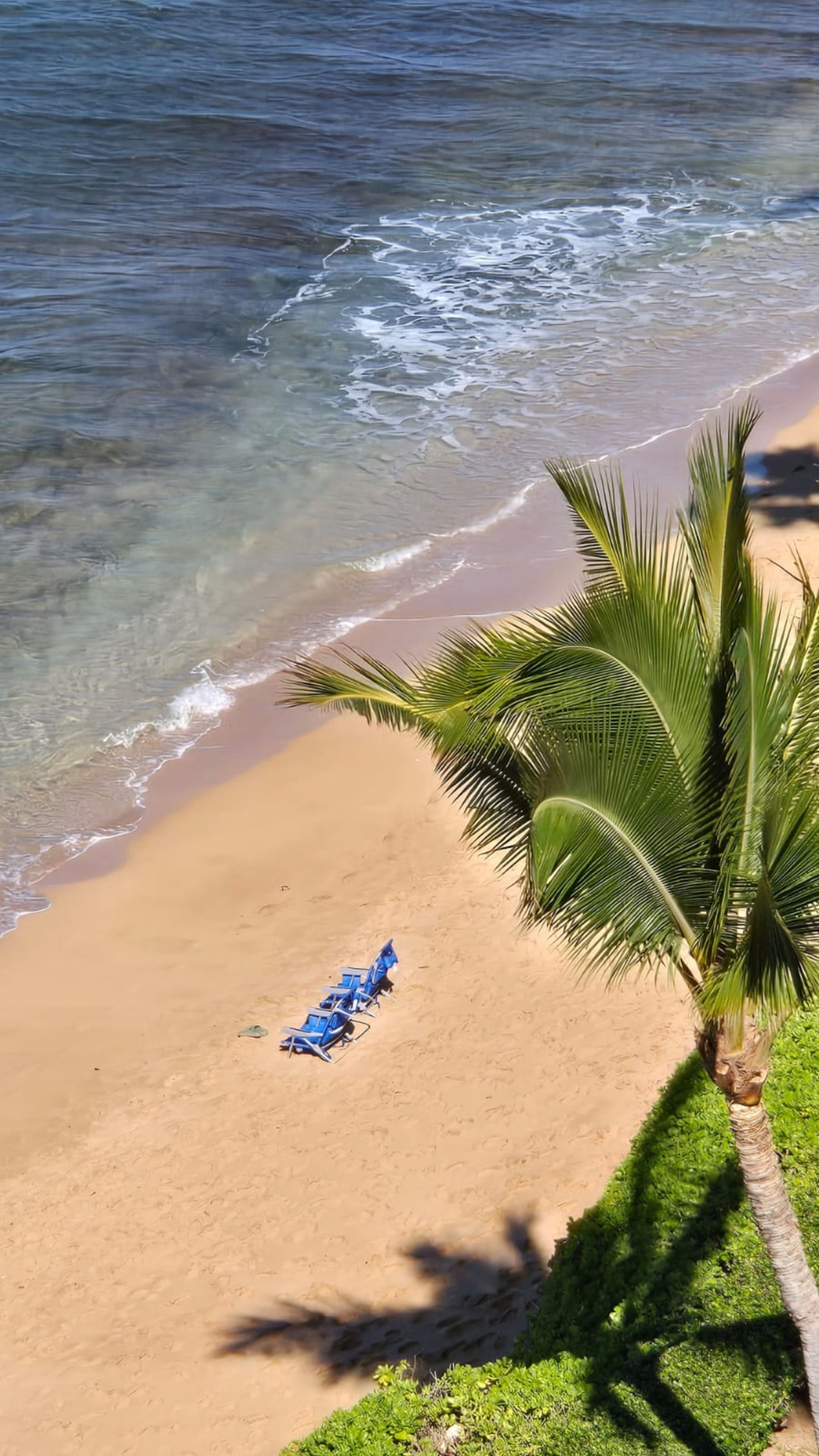 Beachfront Kaanapali Studio with Sunset Views - Image 61
