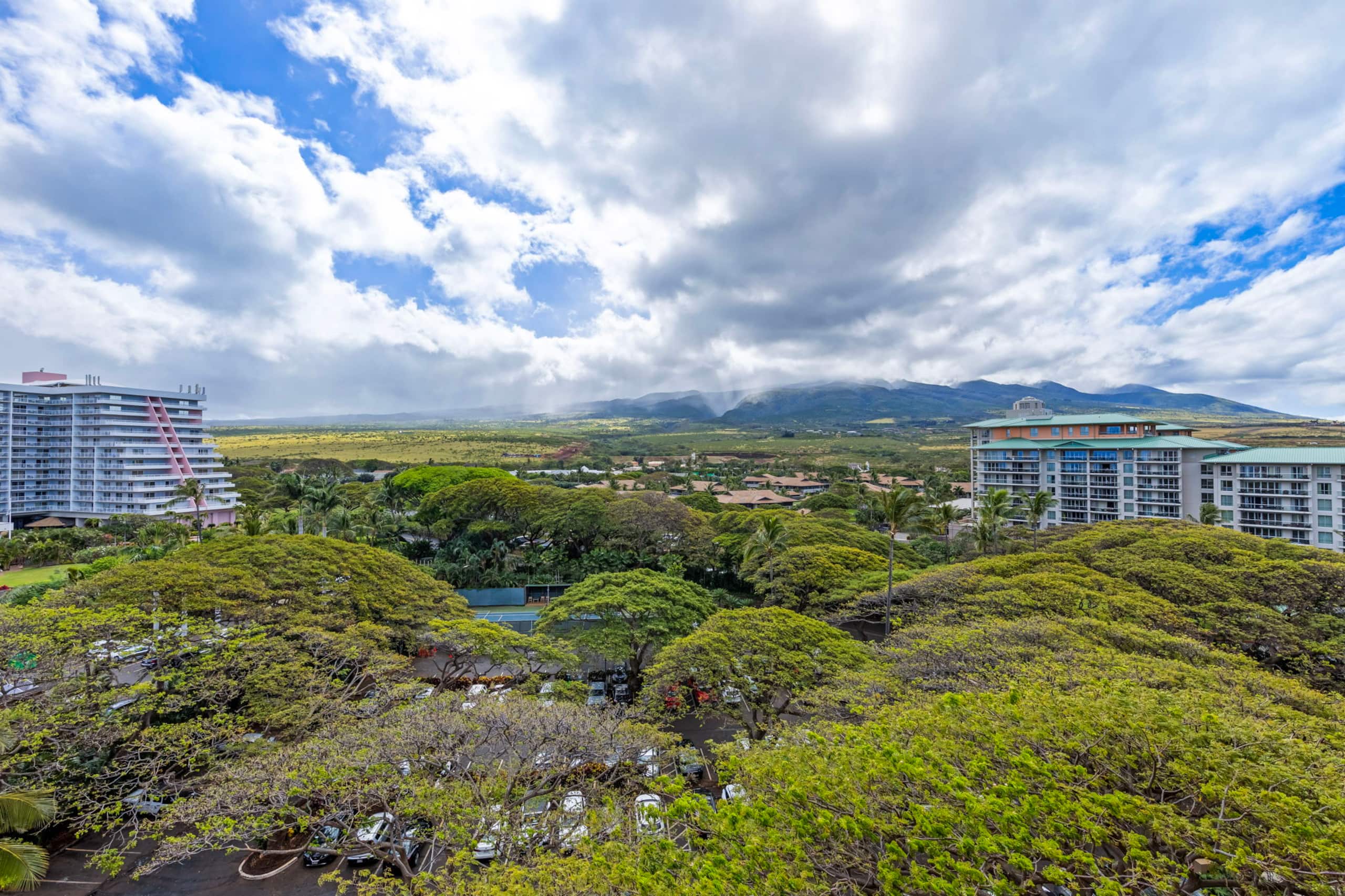 Beachfront Kaanapali Studio with Sunset Views - Image 51