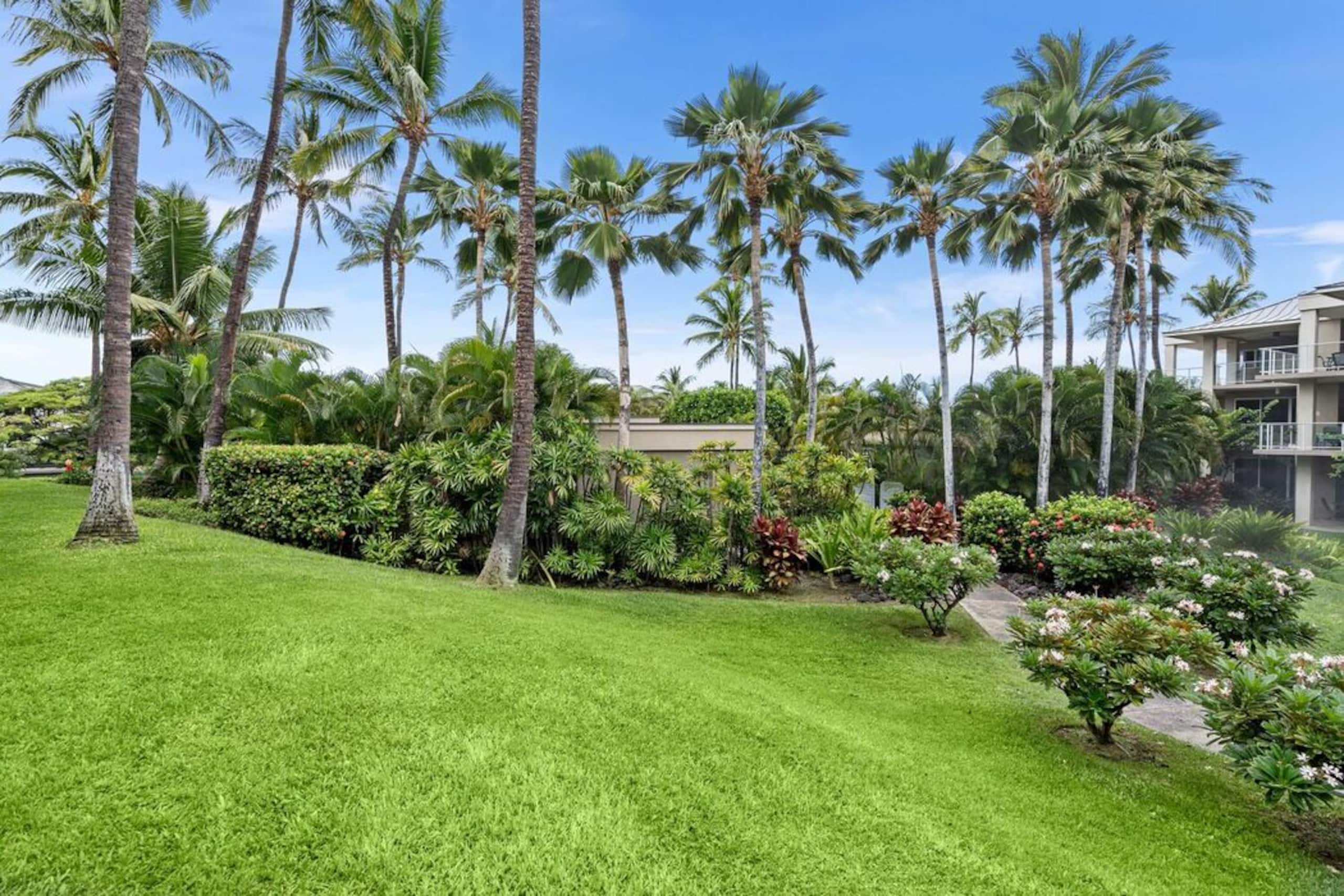 Condo in Waikoloa Village · ★5.0 · 2 bedrooms · 2 beds · 2 baths - Photo 12