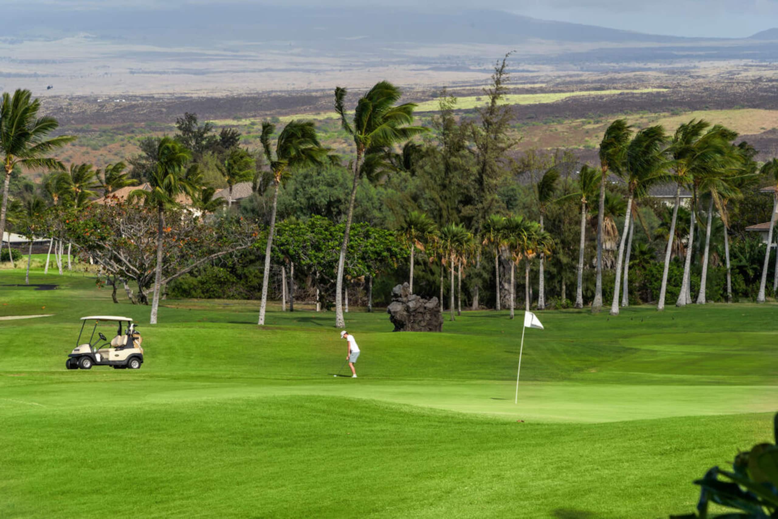 Condo in Waikoloa Village · ★5.0 · 2 bedrooms · 2 beds · 2 baths - Photo 41