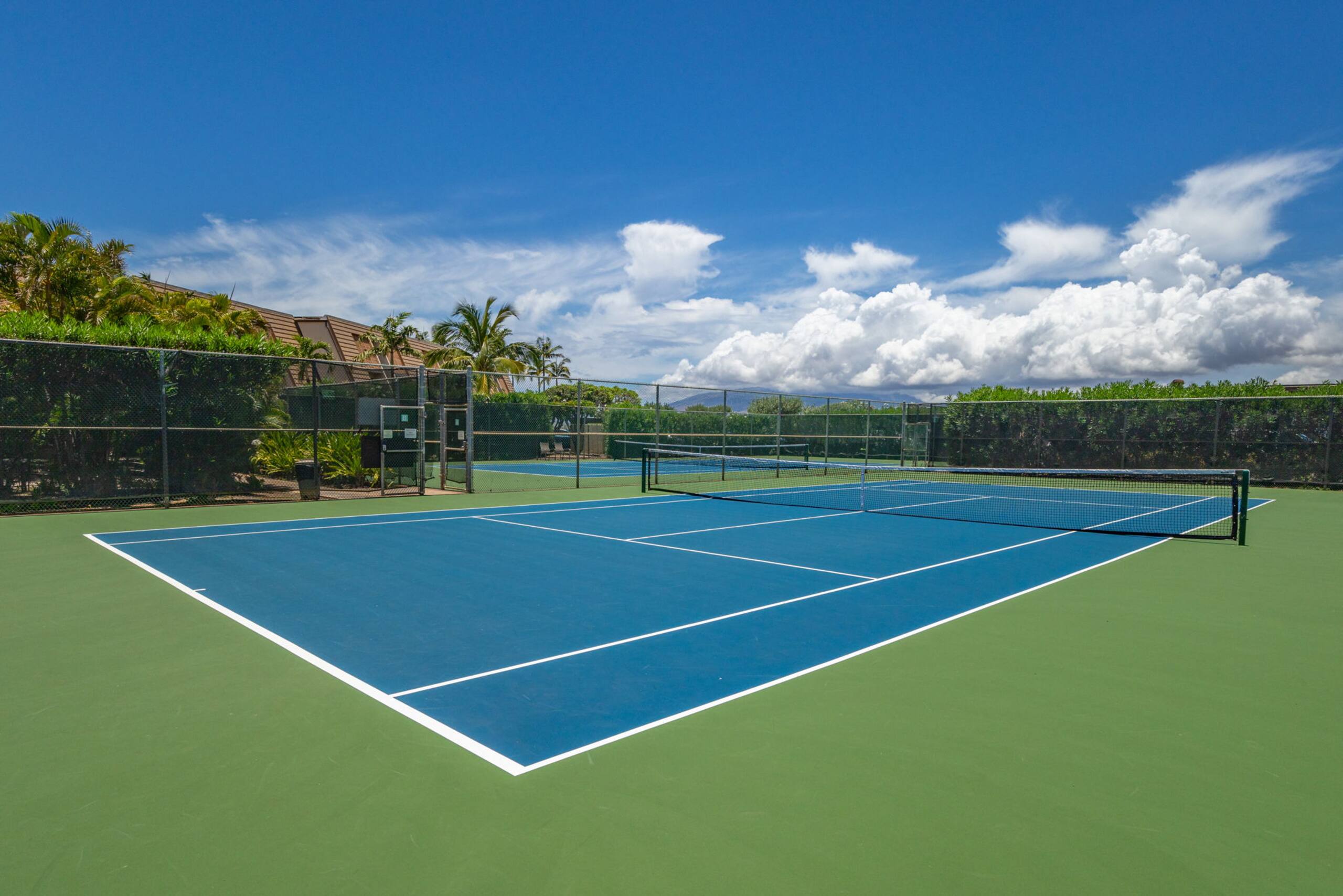Condo in Kihei · ★4.93 · 1 bedroom · 2 beds · 2 shared baths - Image 44