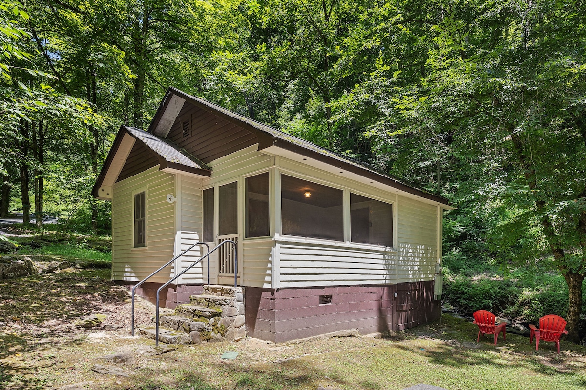 A charming cabin is nestled among tall trees, displaying a light exterior with a brown roof. A set of red chairs sits invitingly on the stone path, leading to the entrance. The screened porch offers a view of the natural surroundings.