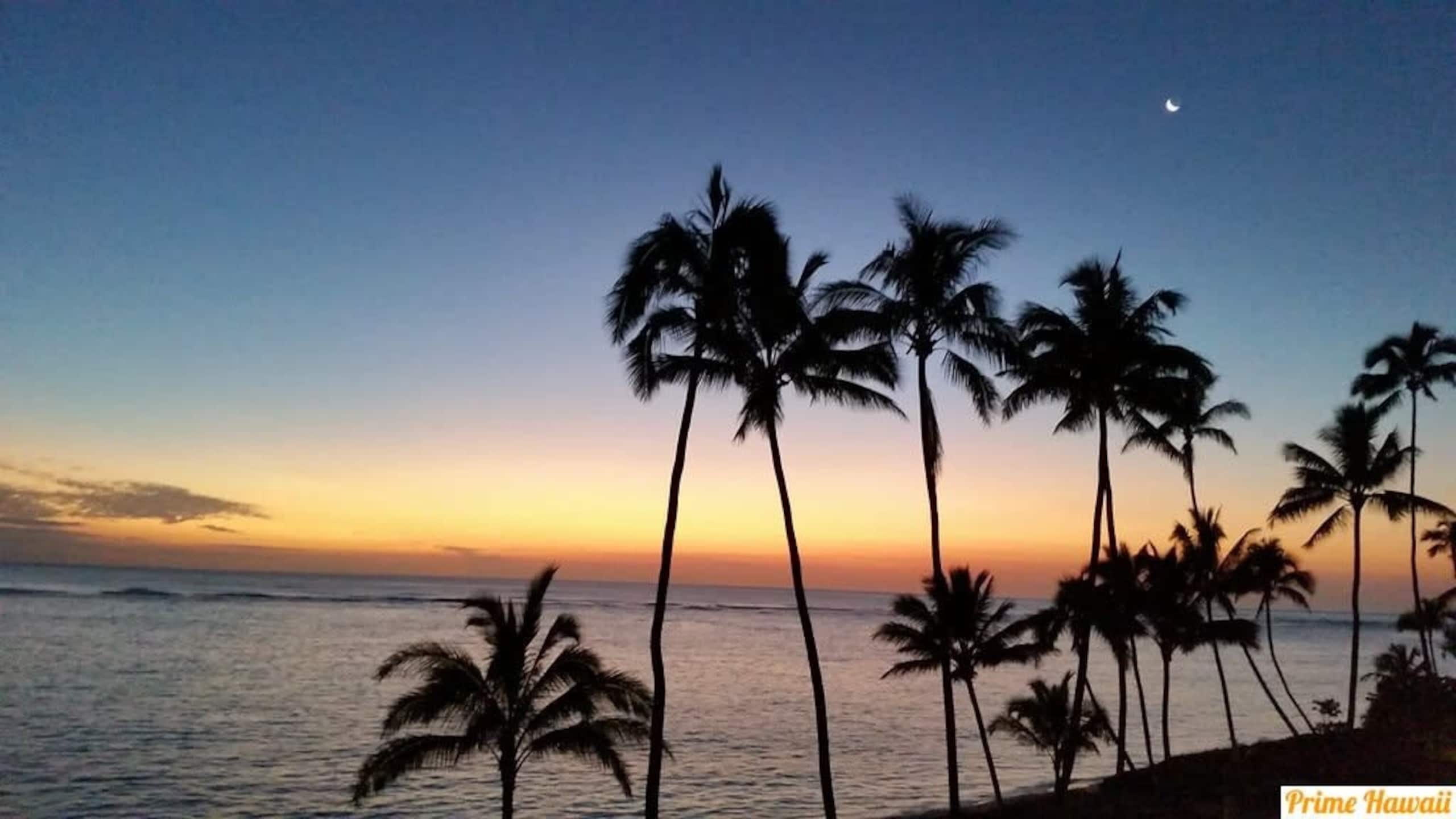 Condo in Hauula · ★4.57 · 1 bedroom · 3 beds · 1 private bath - Image 26