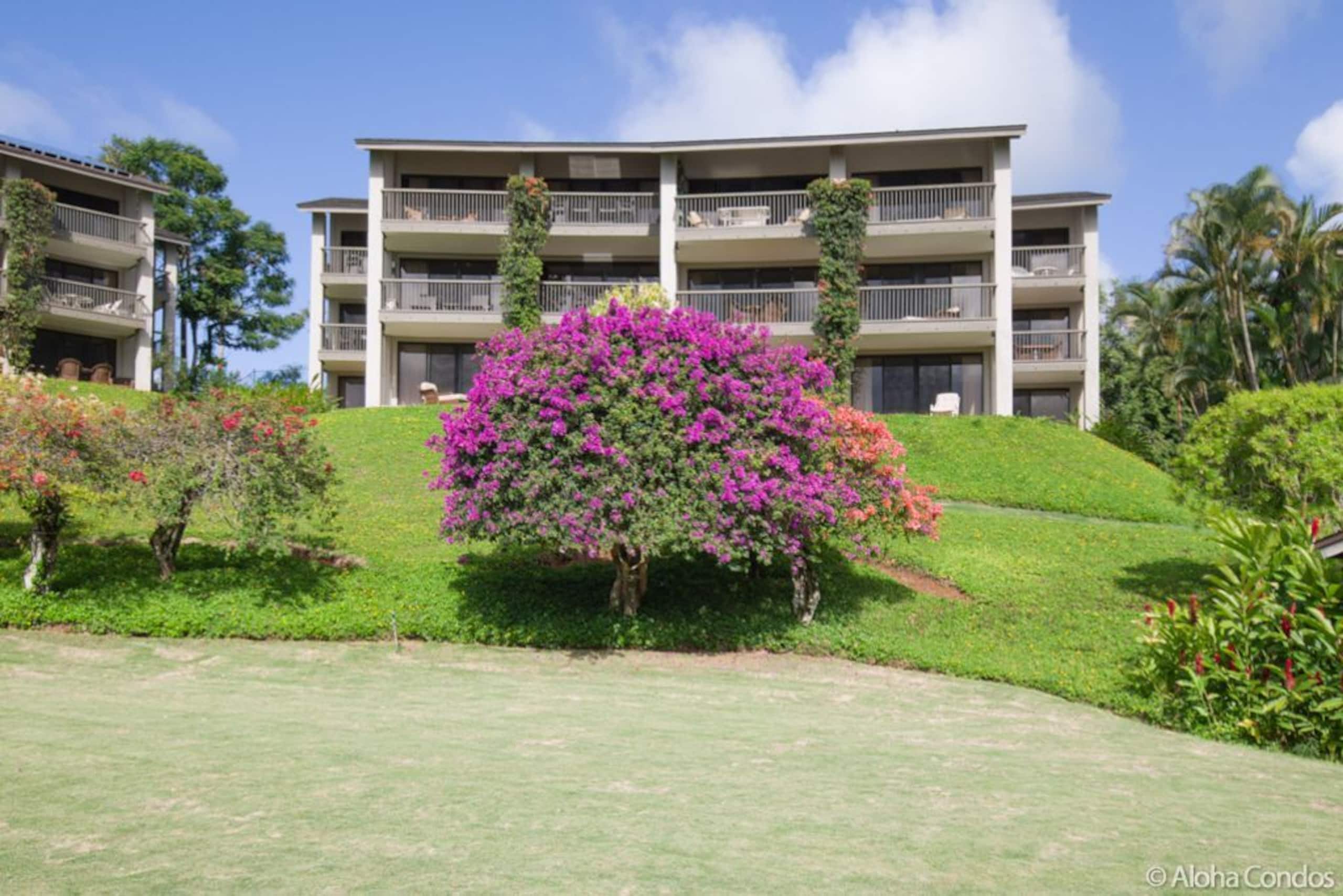 Hanalei Bay Resort Condo 6303 - Aloha Condos - Photo 32