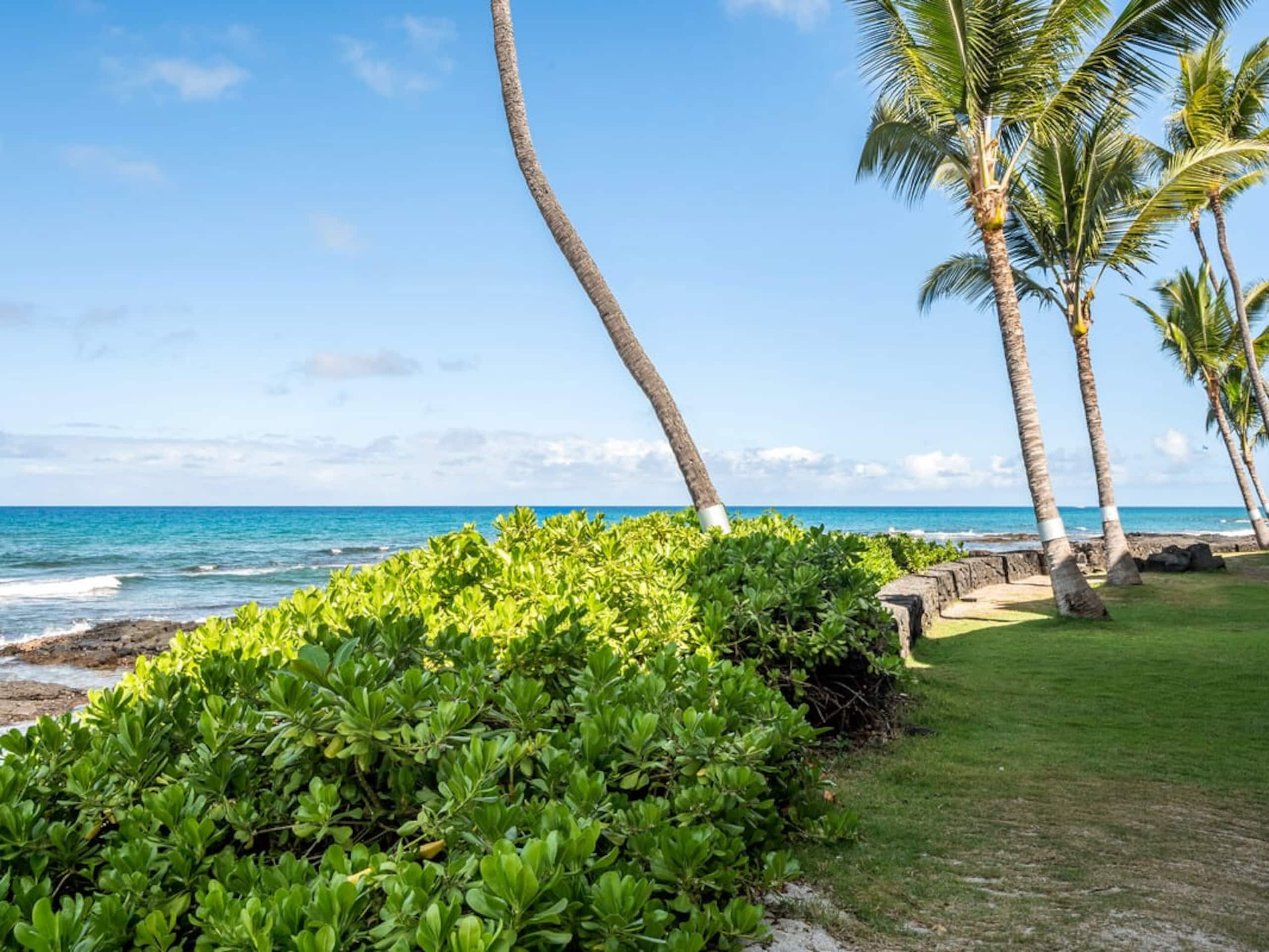 Condo in Kailua-Kona · ★4.9 · 1 bedroom · 1 bed · 1 private bath - Image 31