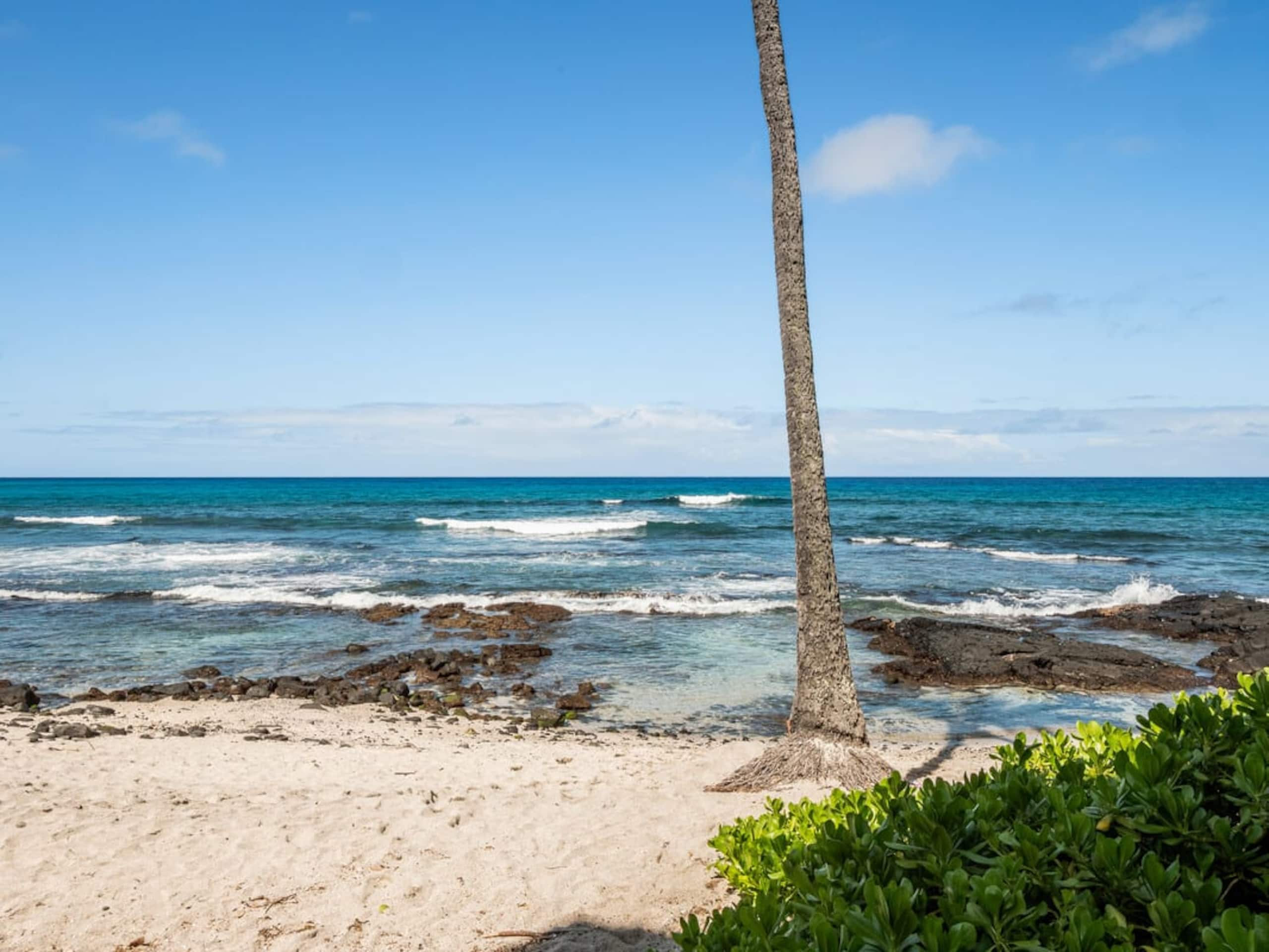 Condo in Kailua-Kona · ★4.9 · 1 bedroom · 1 bed · 1 private bath - Image 5