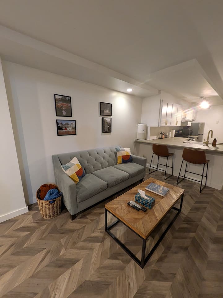 Empire Plaza Apartment - Bethlehem, NY