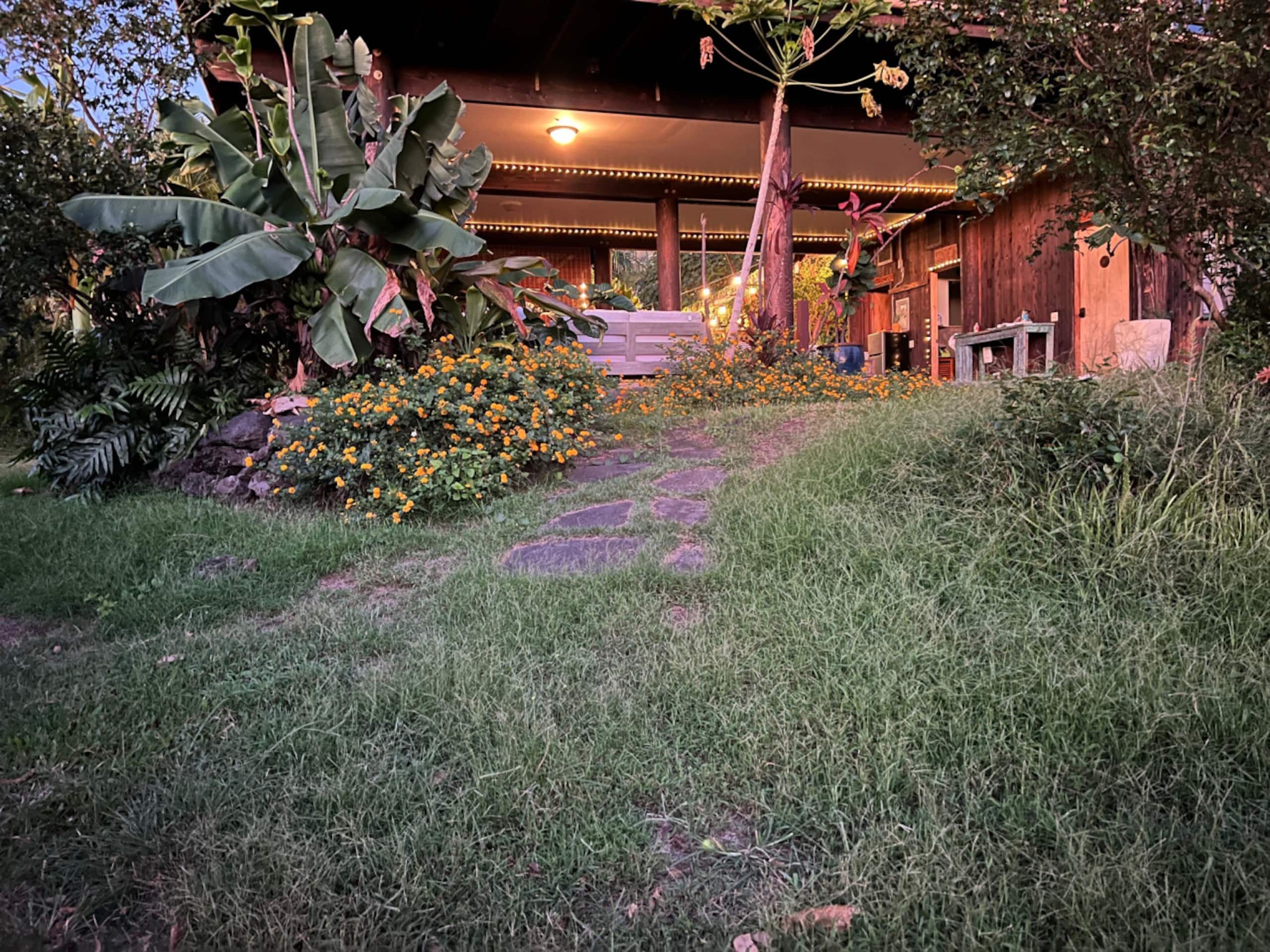 Organic Mango Oasis: Gardenview by Kealakekua Bay - Image 35