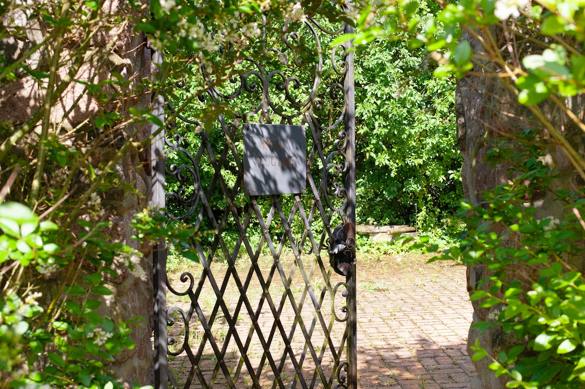 A decorative wrought iron gate is visible, set within a stone wall. Surrounding greenery hints at a lush garden beyond. Sunlight filters through the foliage, creating a serene and inviting scene for exploring the outdoor space.