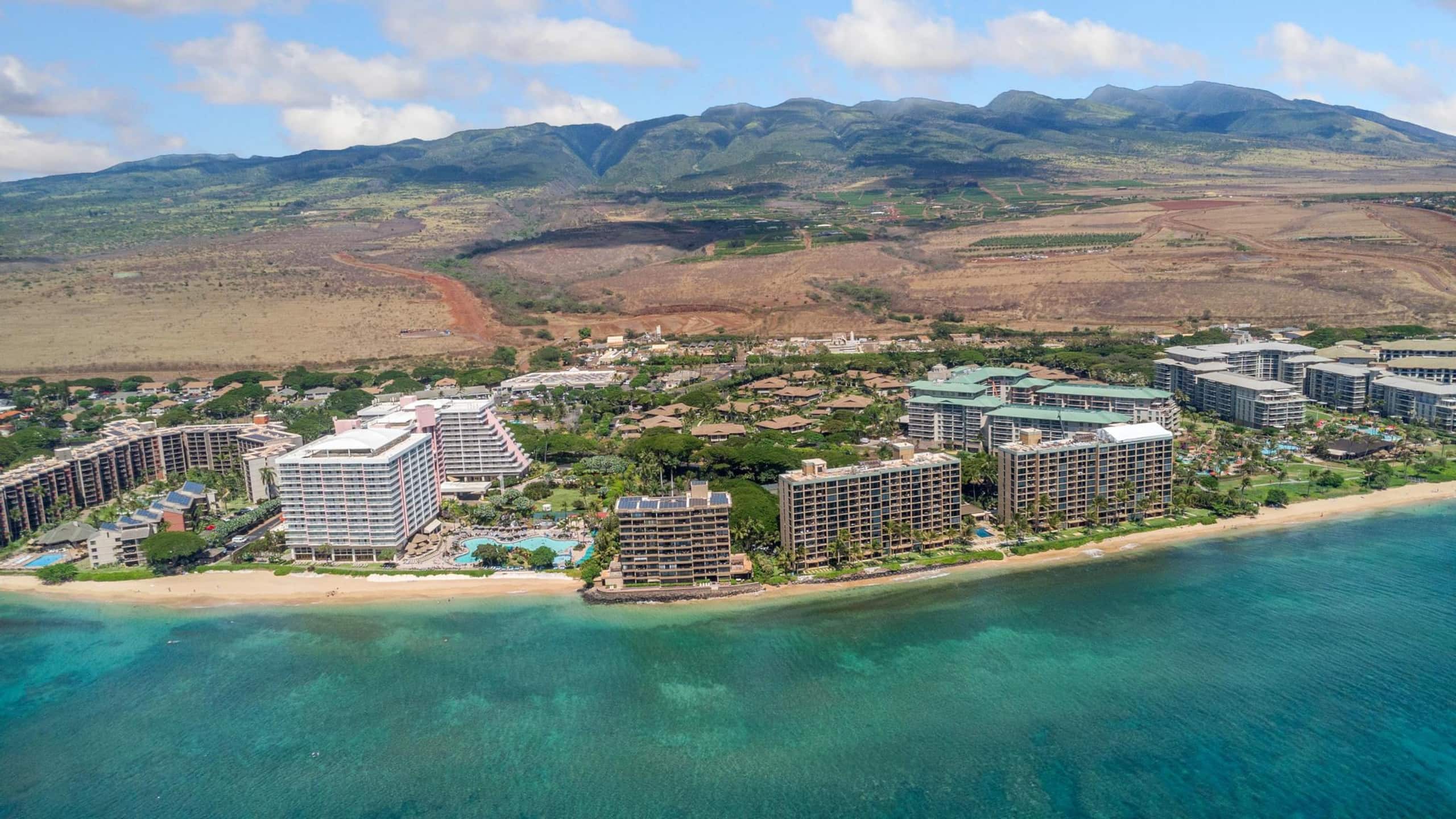 Home in Lahaina · ★4.88 · 1 bedroom · 2 beds · 1 bath - Image 42