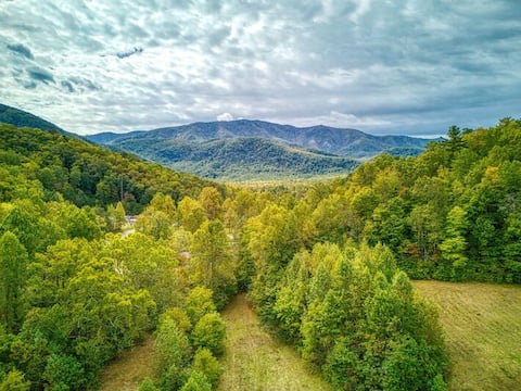 Queens Quarters by Bear Camp
