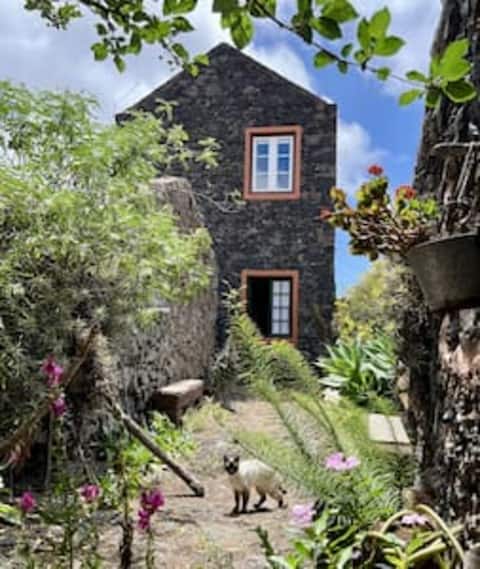 Casas Rural Las Guindas - Cozy Rural House, Hierro Island