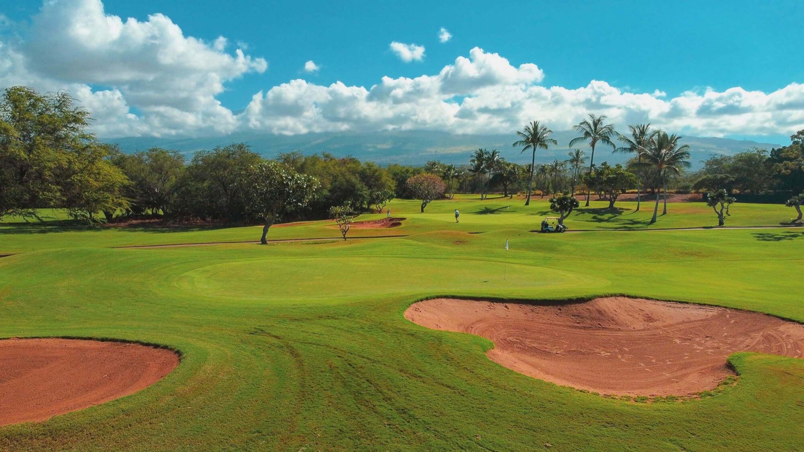 Hotel in Kihei · ★4.76 · 3 bedrooms · 3 beds · 2 shared baths - Image 21