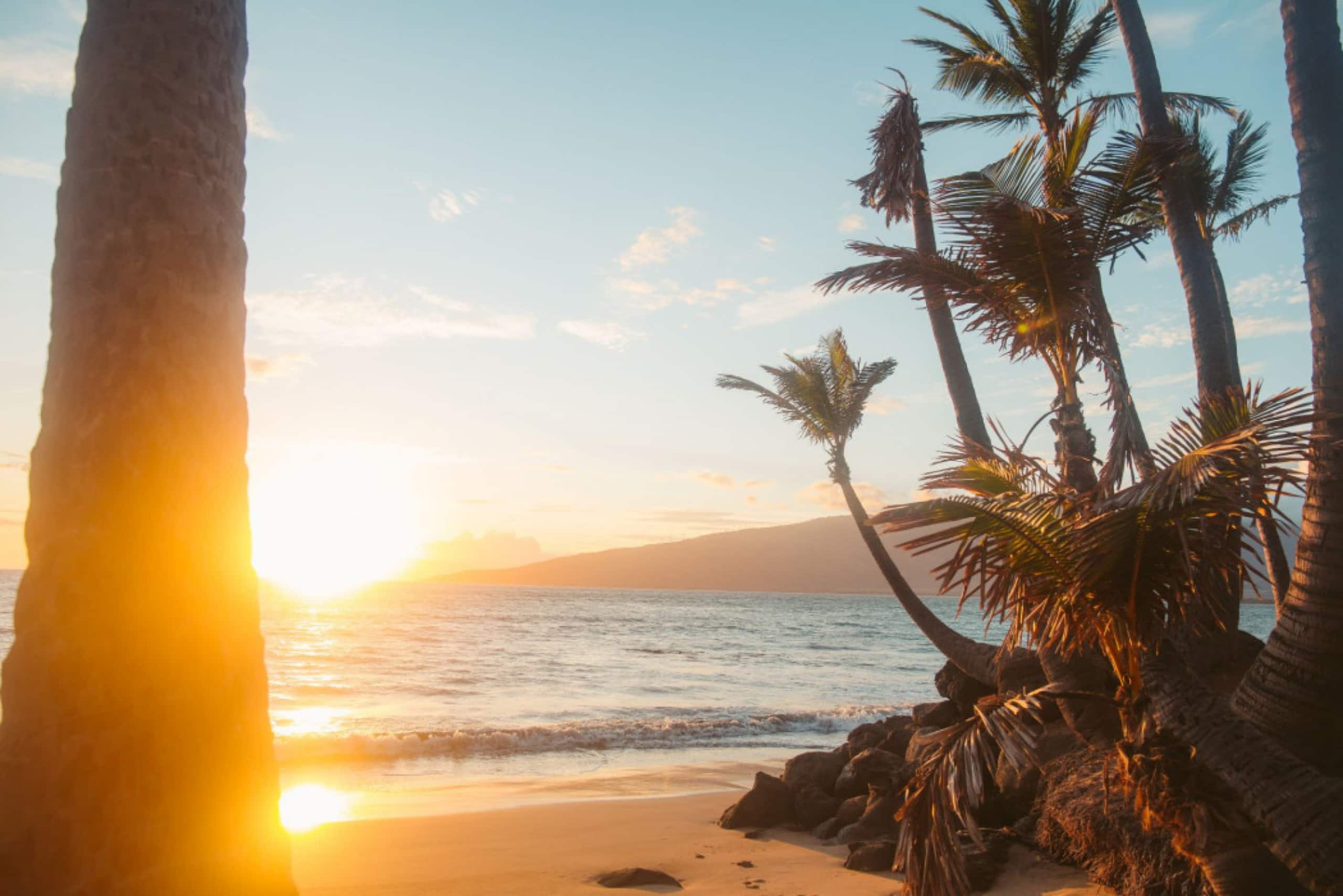Hotel in Kihei · ★4.76 · 3 bedrooms · 3 beds · 2 shared baths - Image 9