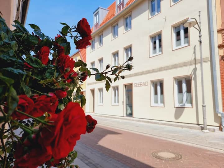 Haus Seebad Ueckermünde Ferienwohnungen (265725) - Ueckermünde