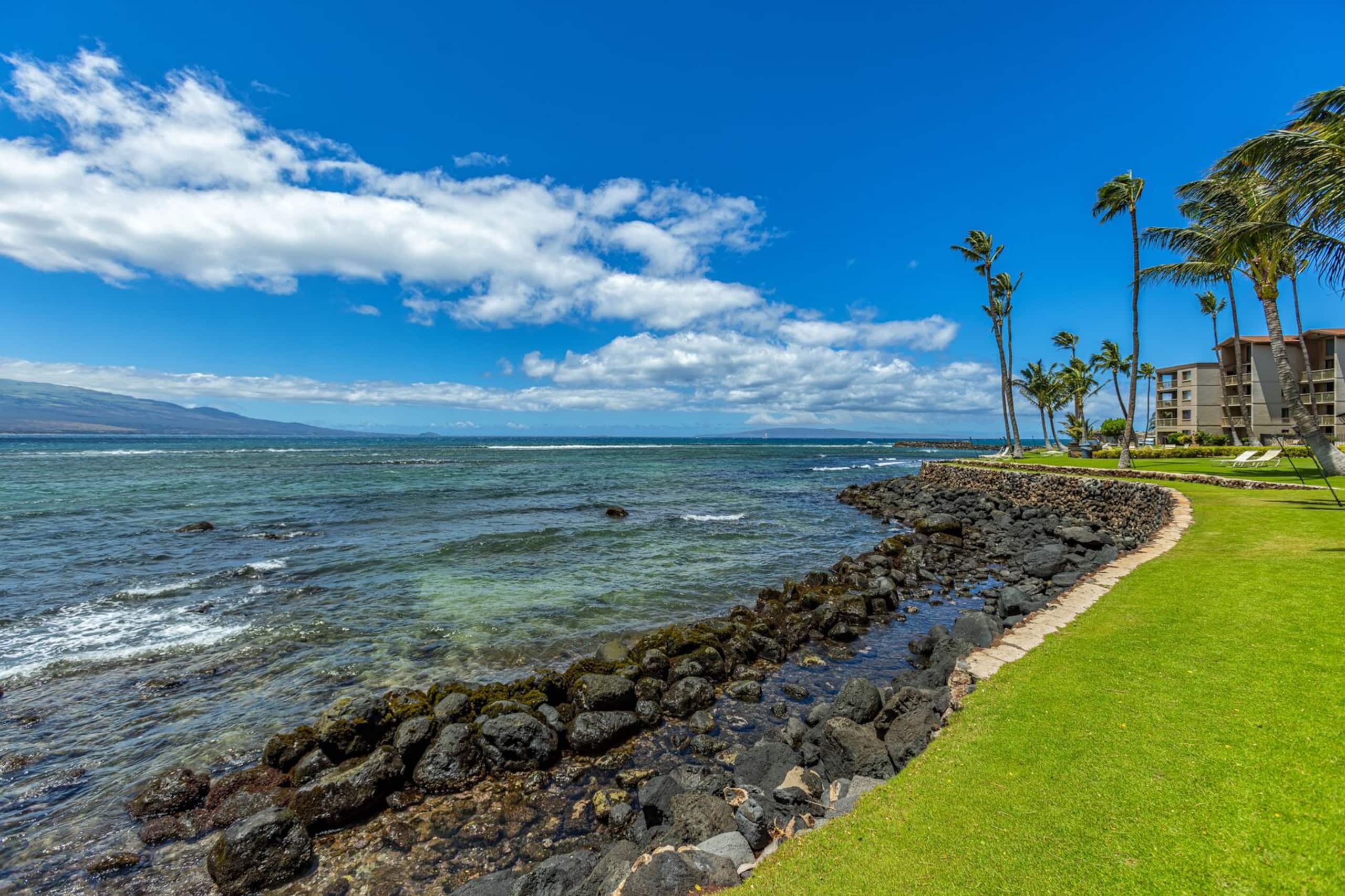 Condo in Wailuku · ★4.67 · 2 bedrooms · 2 beds · 2 baths - Image 39