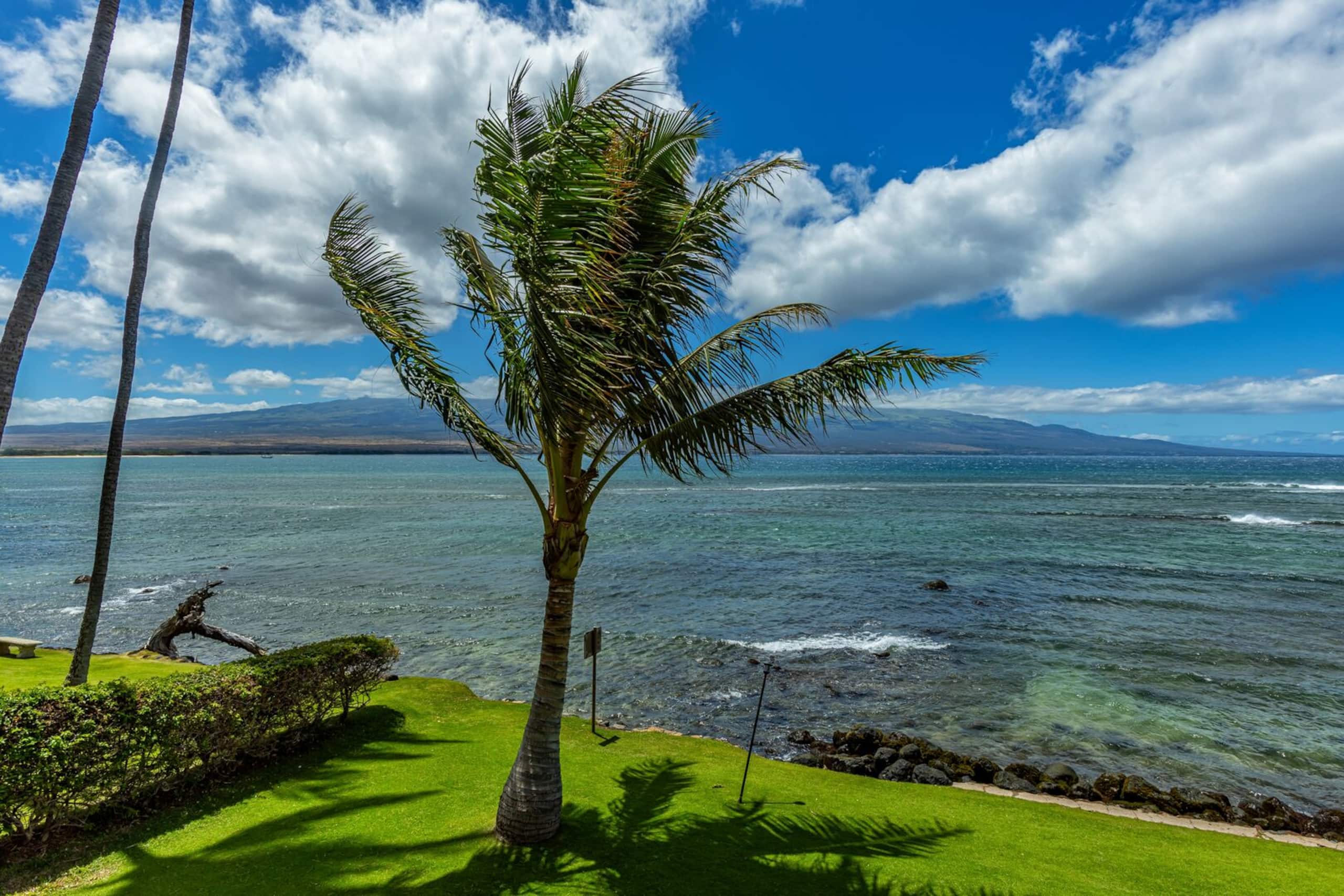 Condo in Wailuku · ★4.67 · 2 bedrooms · 2 beds · 2 baths - Image 32