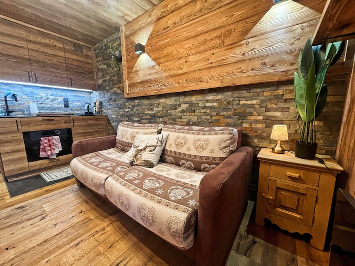 Studio Skis Aux Pieds - Plein Sud - Façon Châlet - Morillon