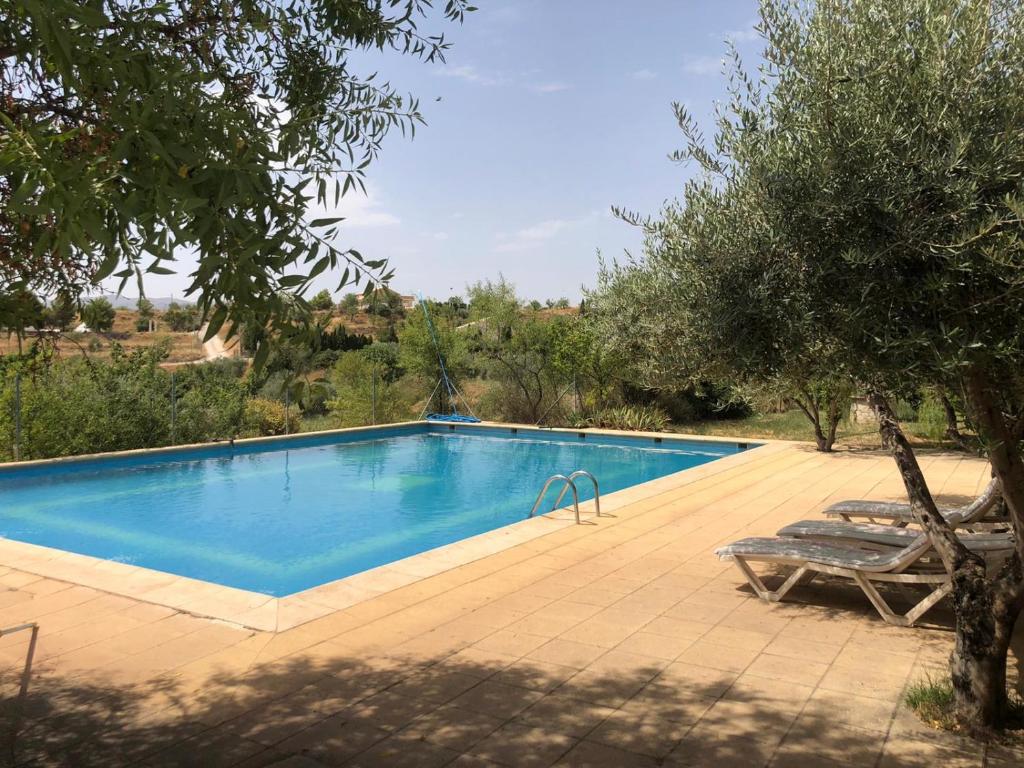 A tranquil outdoor space features a fenced swimming pool surrounded by lush greenery. Sun loungers are positioned beside the pool on a sunlit terrace, providing a relaxing area for guests. Olive trees and other vegetation add to the natural ambiance.